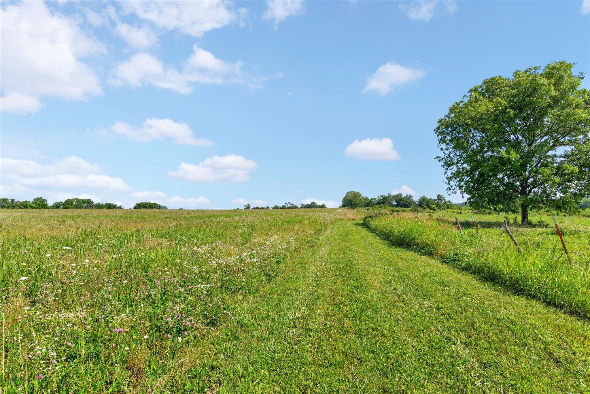 60326939 Property Photo 47