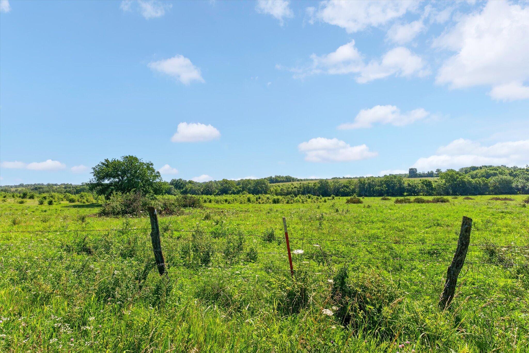 60326939 Property Photo 49