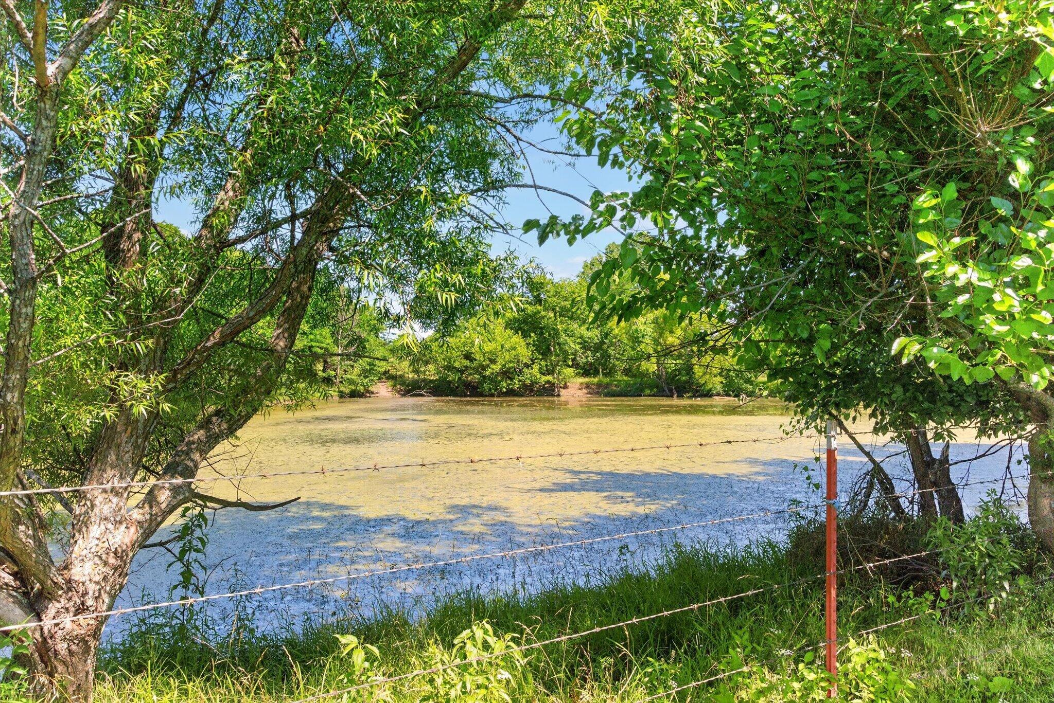 60326939 Property Photo 50