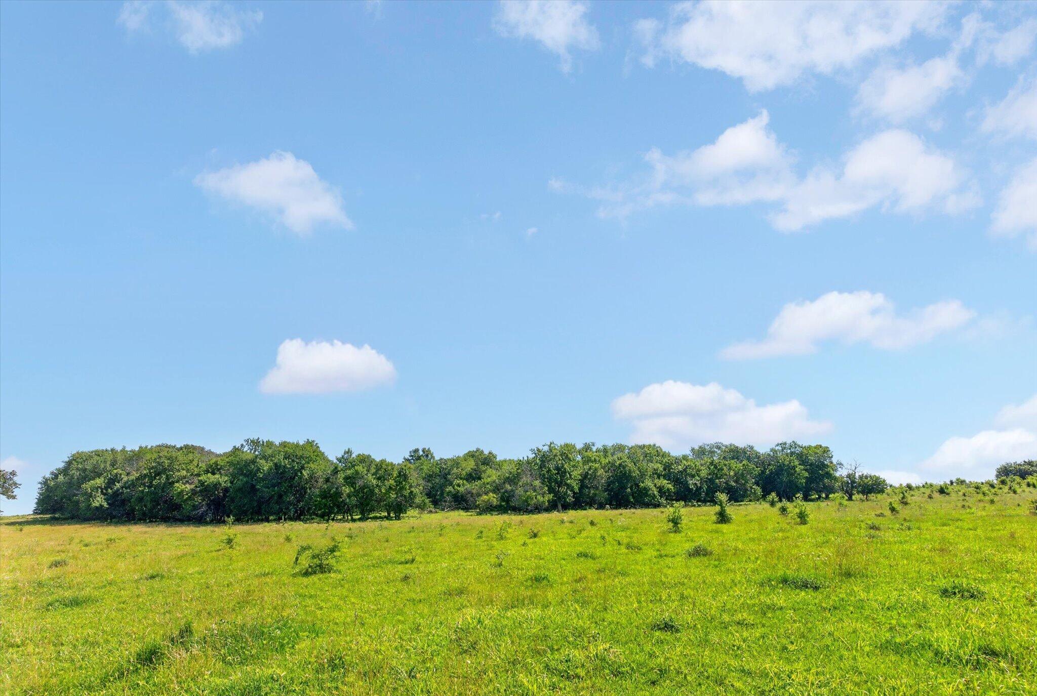 60326939 Property Photo 53