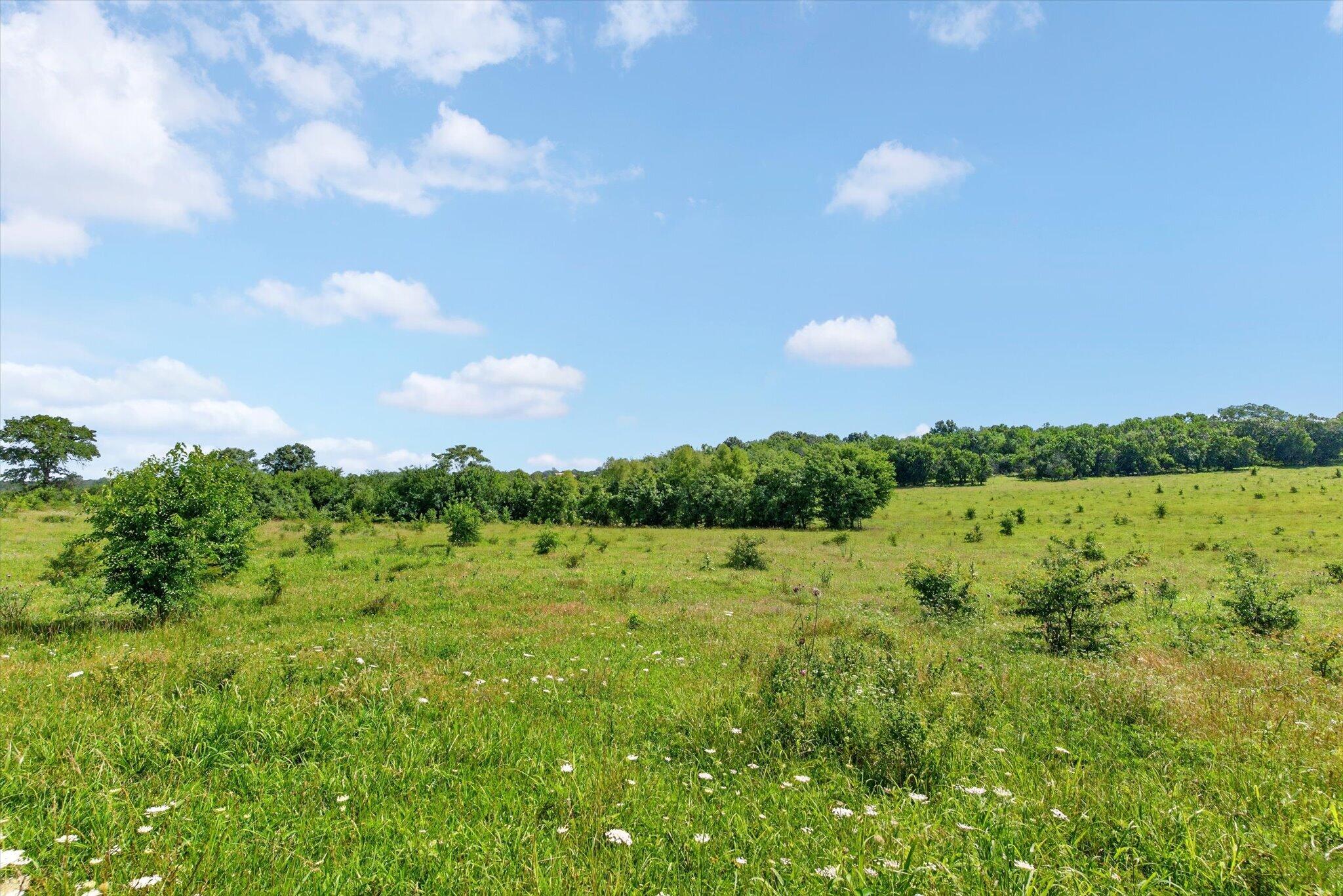 60326939 Property Photo 54