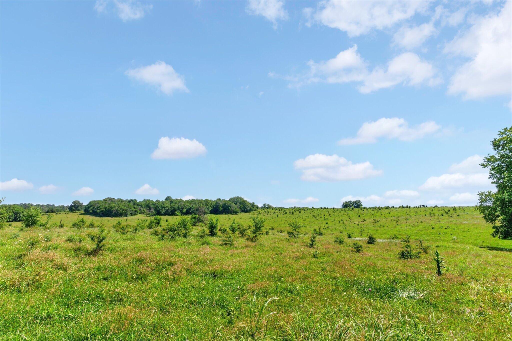 60326939 Property Photo 55