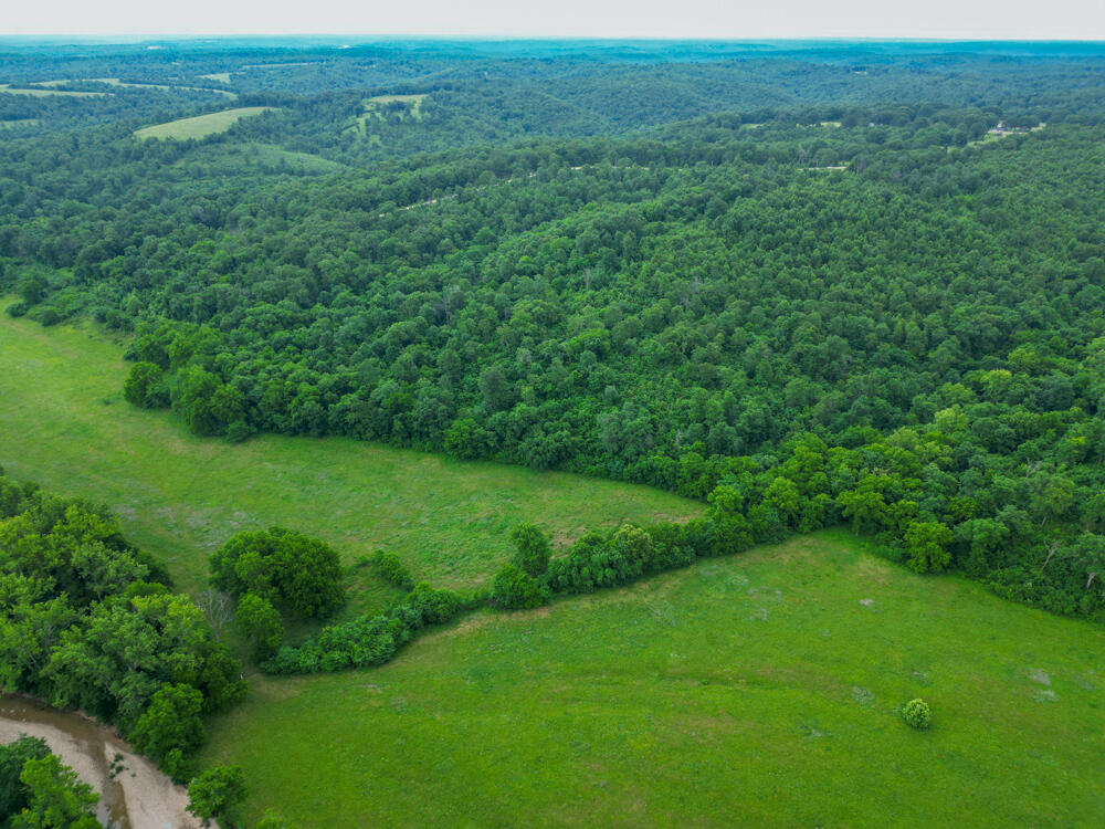 000 White Oak Road Property Photo 6