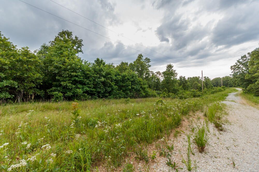 000 White Oak Road Property Photo 11