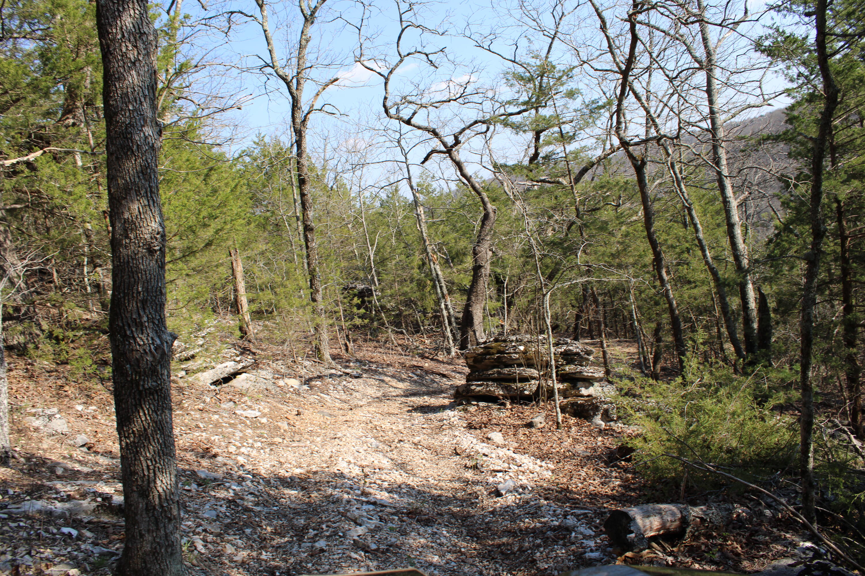 000 Mease Dr Property Photo 15