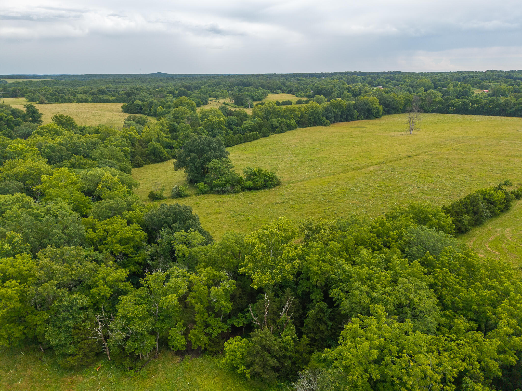7 State Highway 32 Property Photo 19