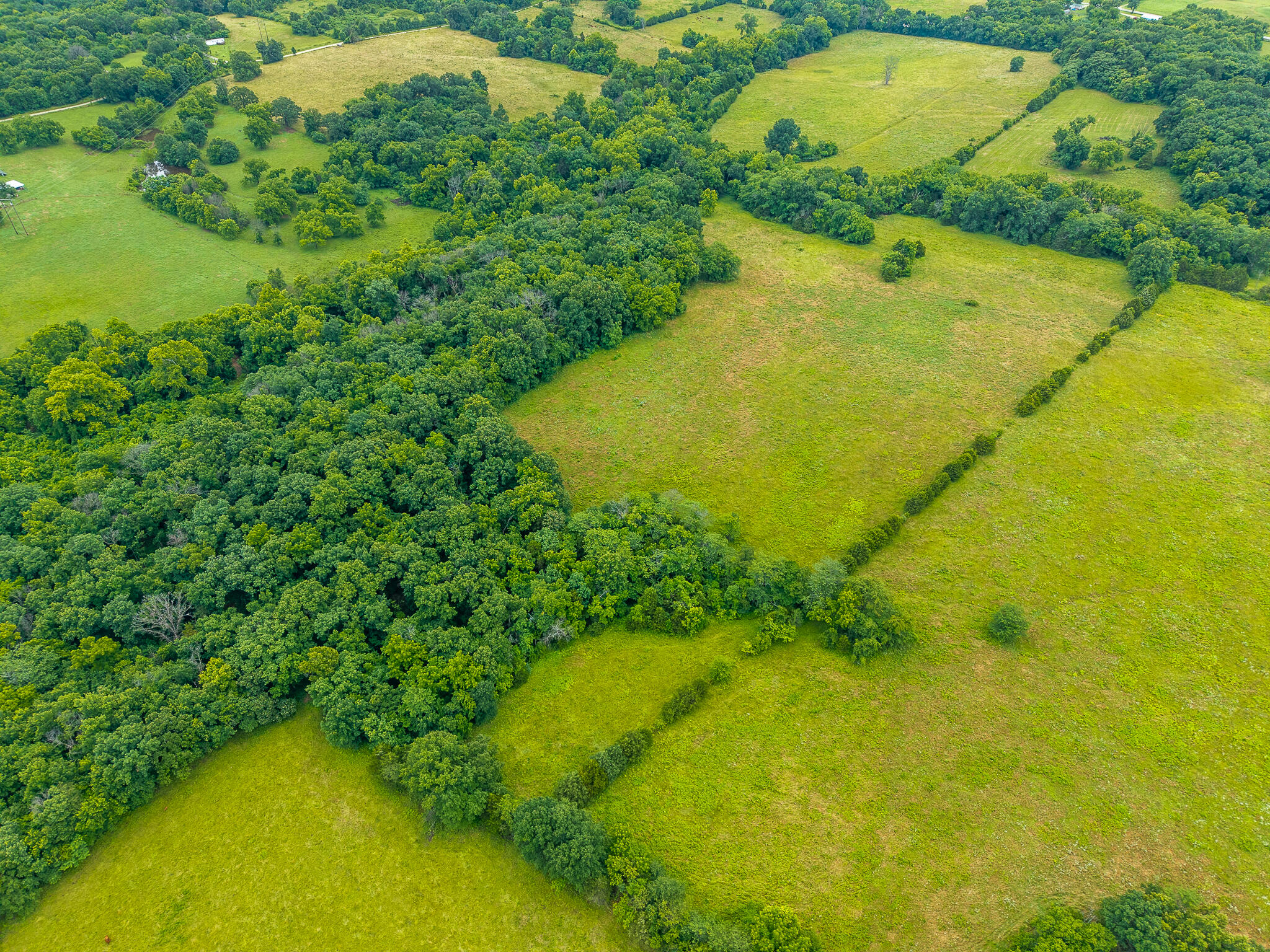 13 State Highway 32 Property Photo 13