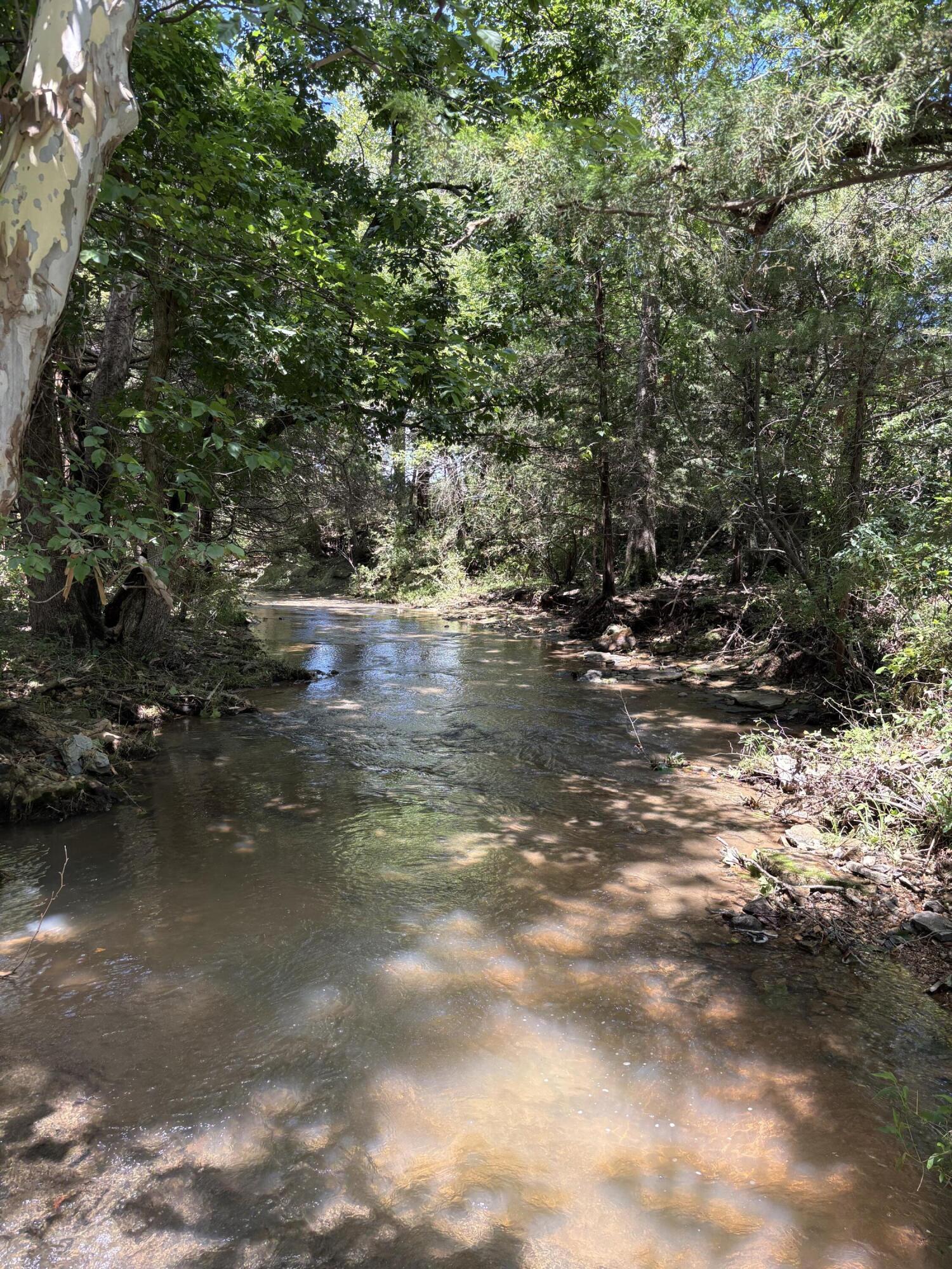 16 State Highway 32 Property Photo 2