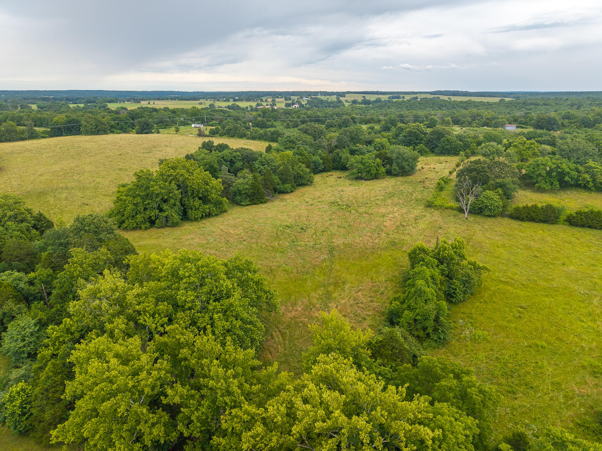 16 State Highway 32 Property Photo 19