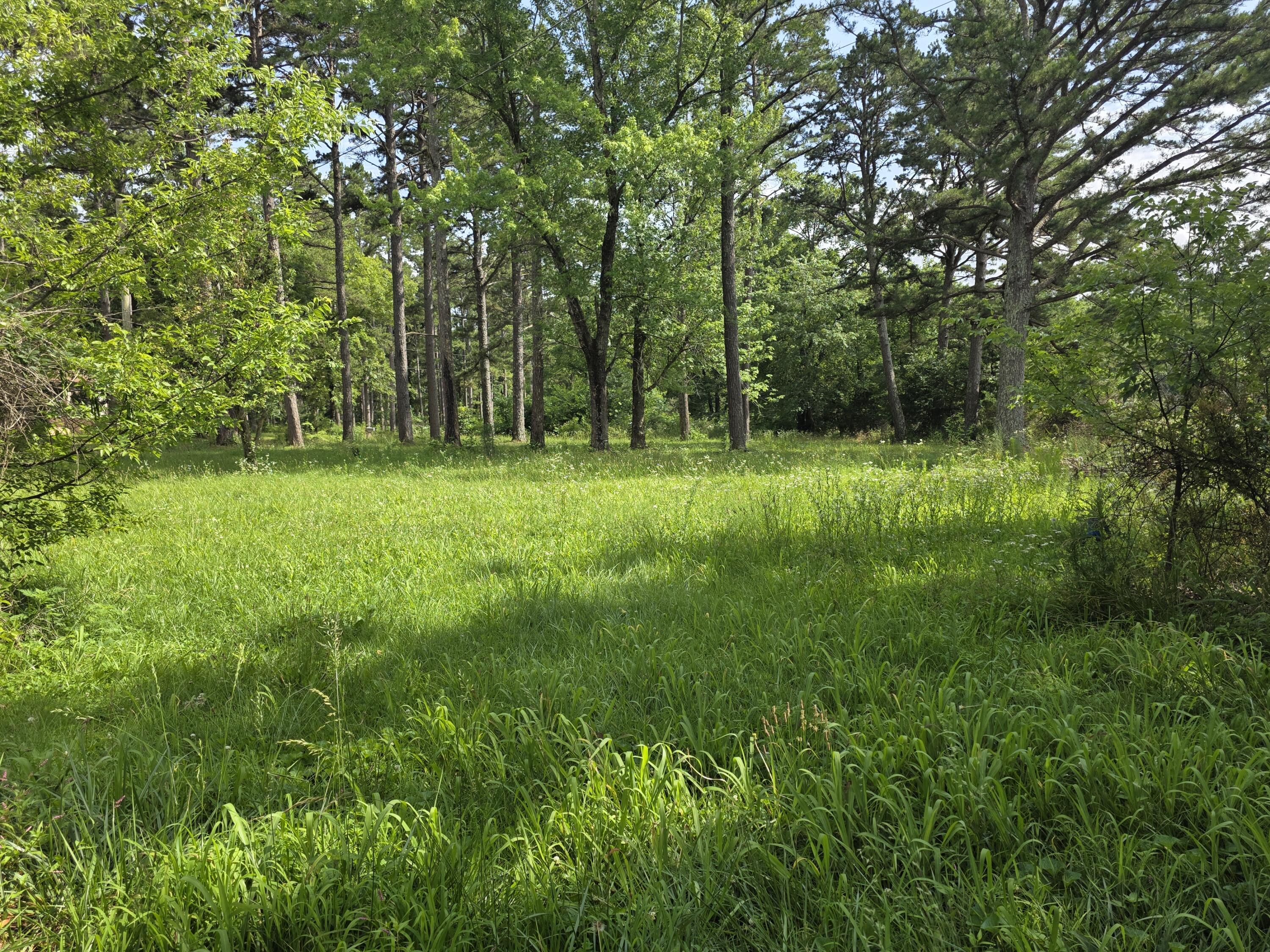 11507 Cooper Drive Property Photo 10