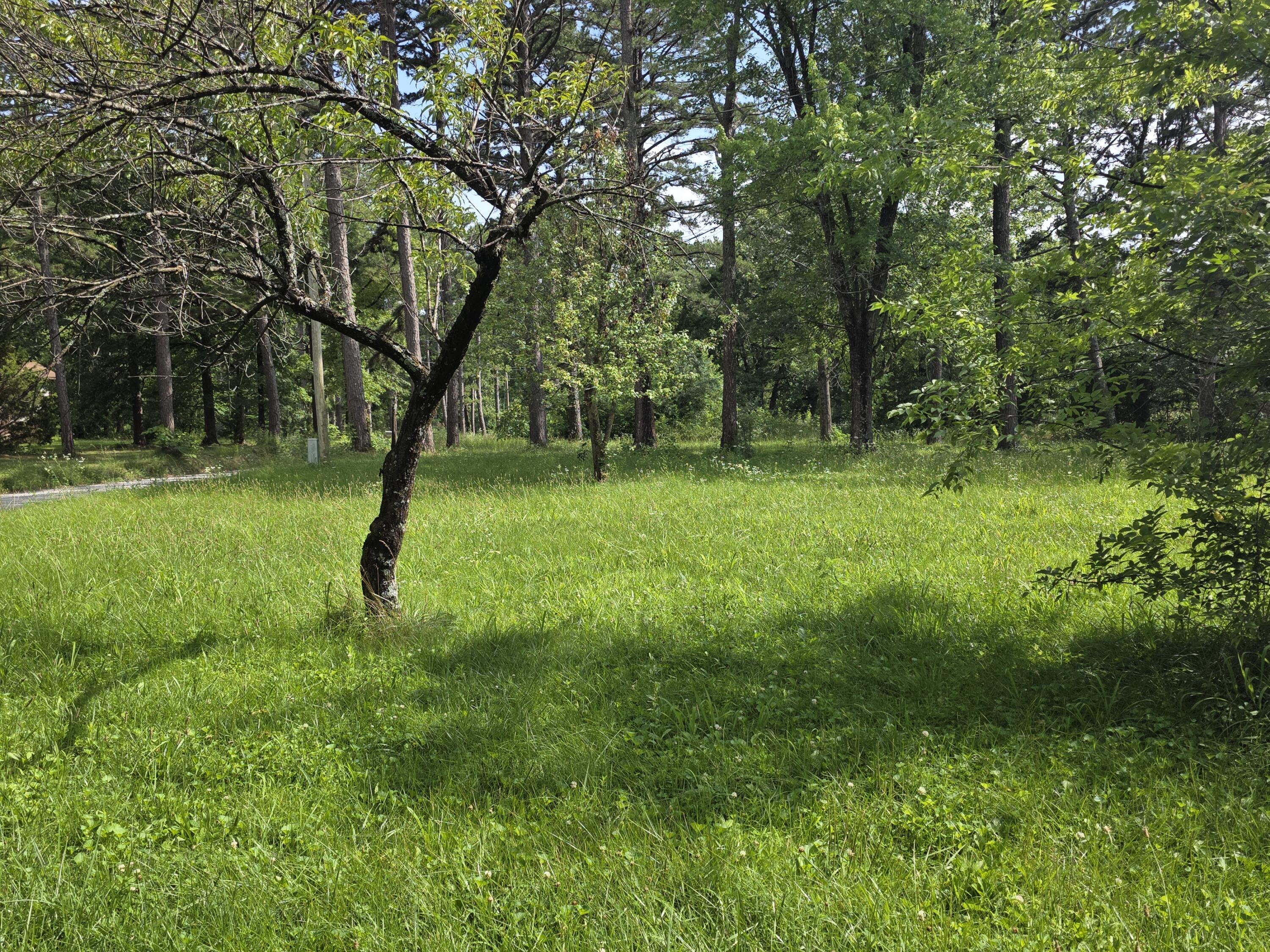 11507 Cooper Drive Property Photo 11