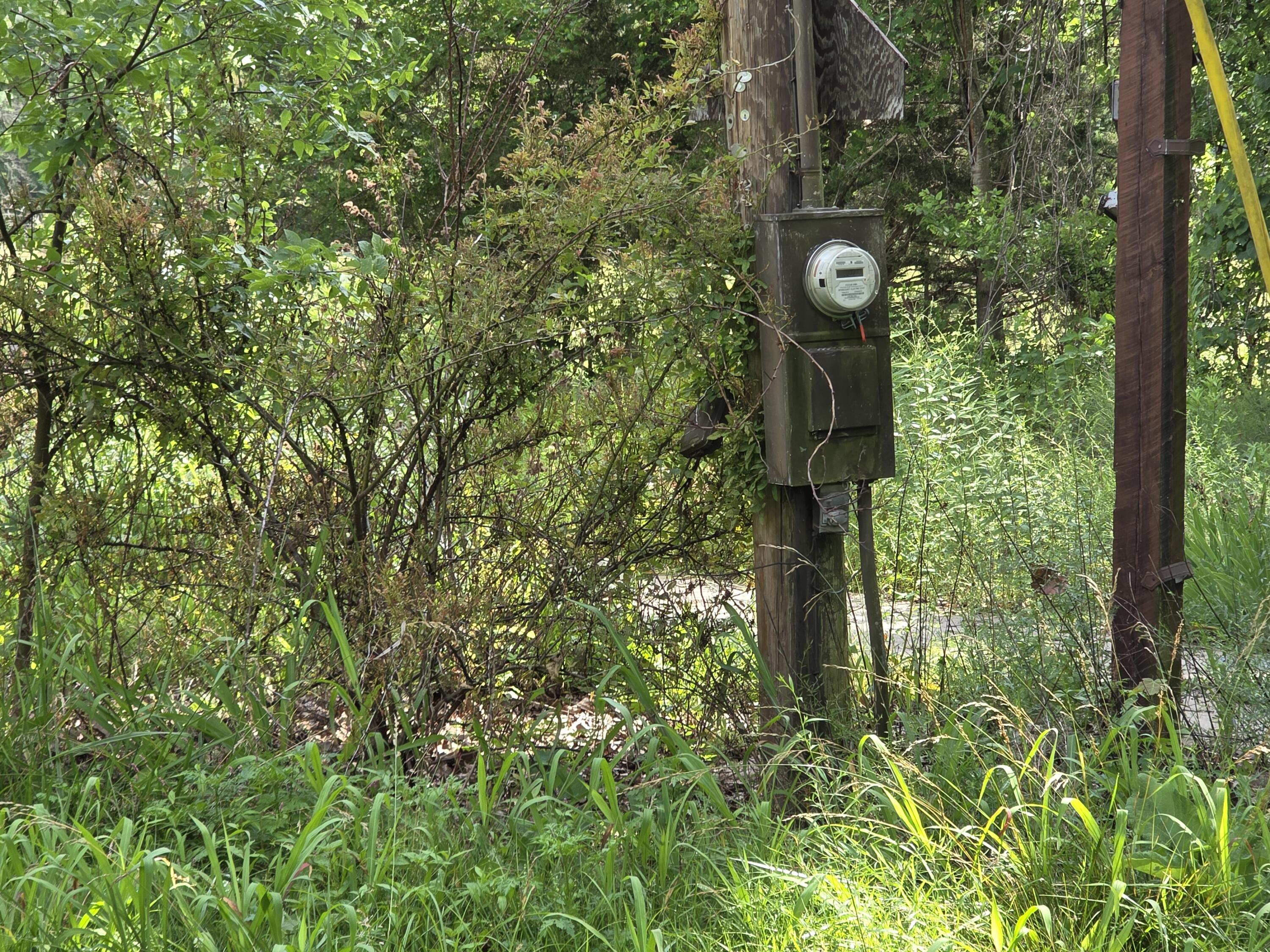 11507 Cooper Drive Property Photo 16