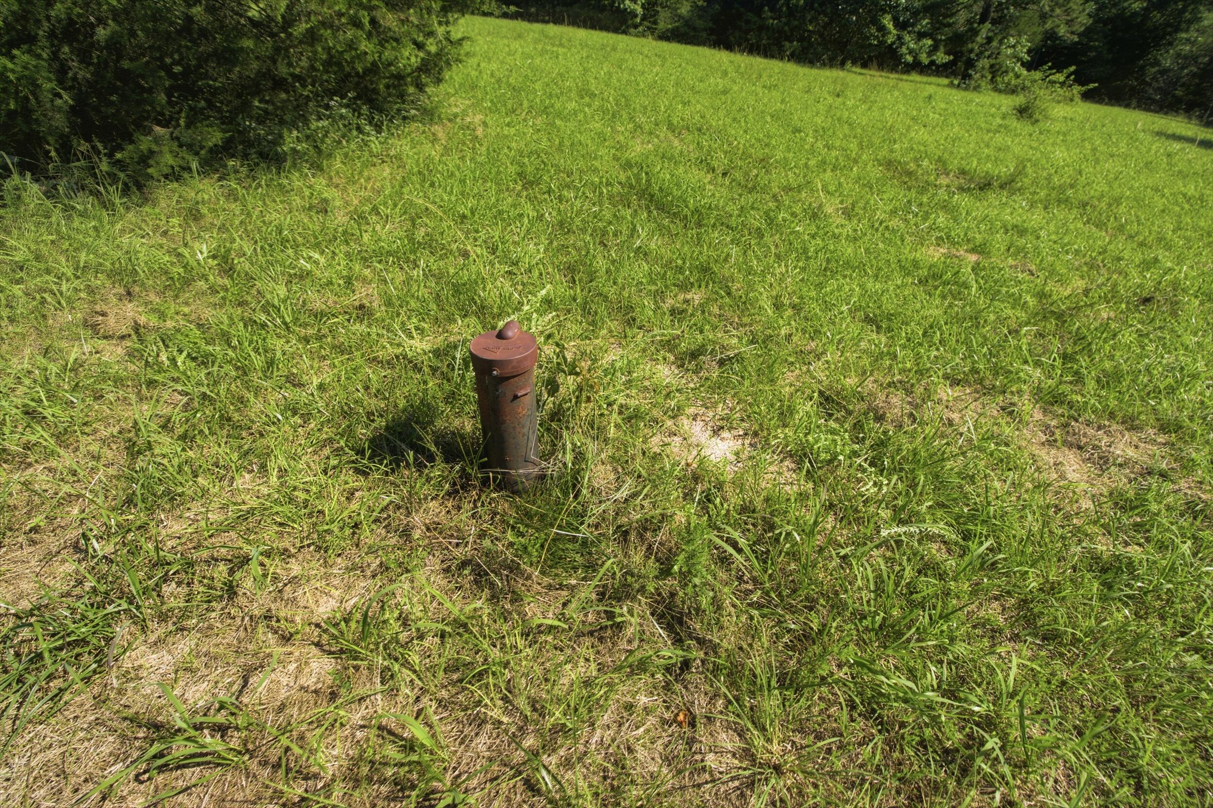 000 County Road 178-a Property Photo 12