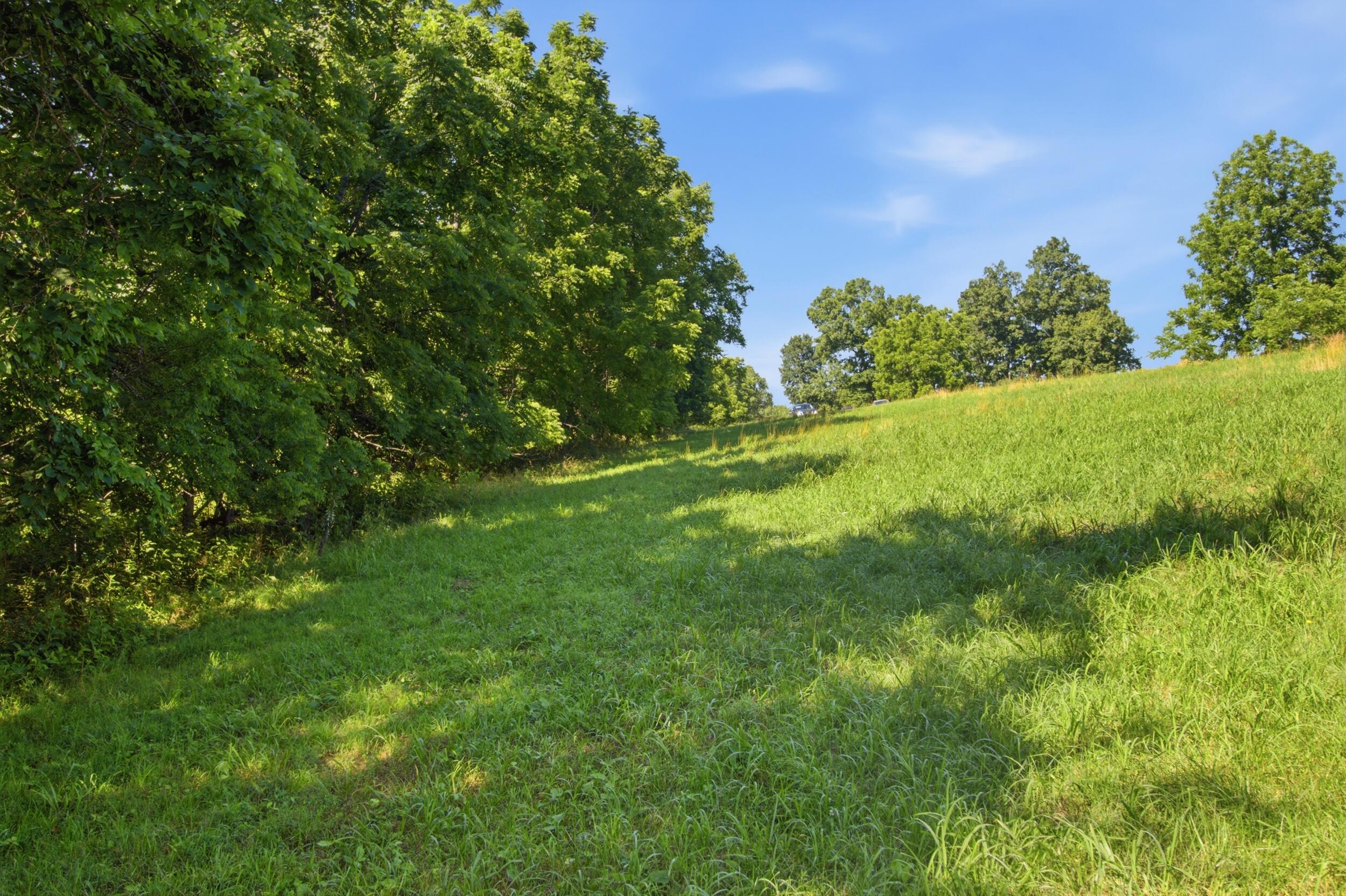 000 County Road 178-a Property Photo 14