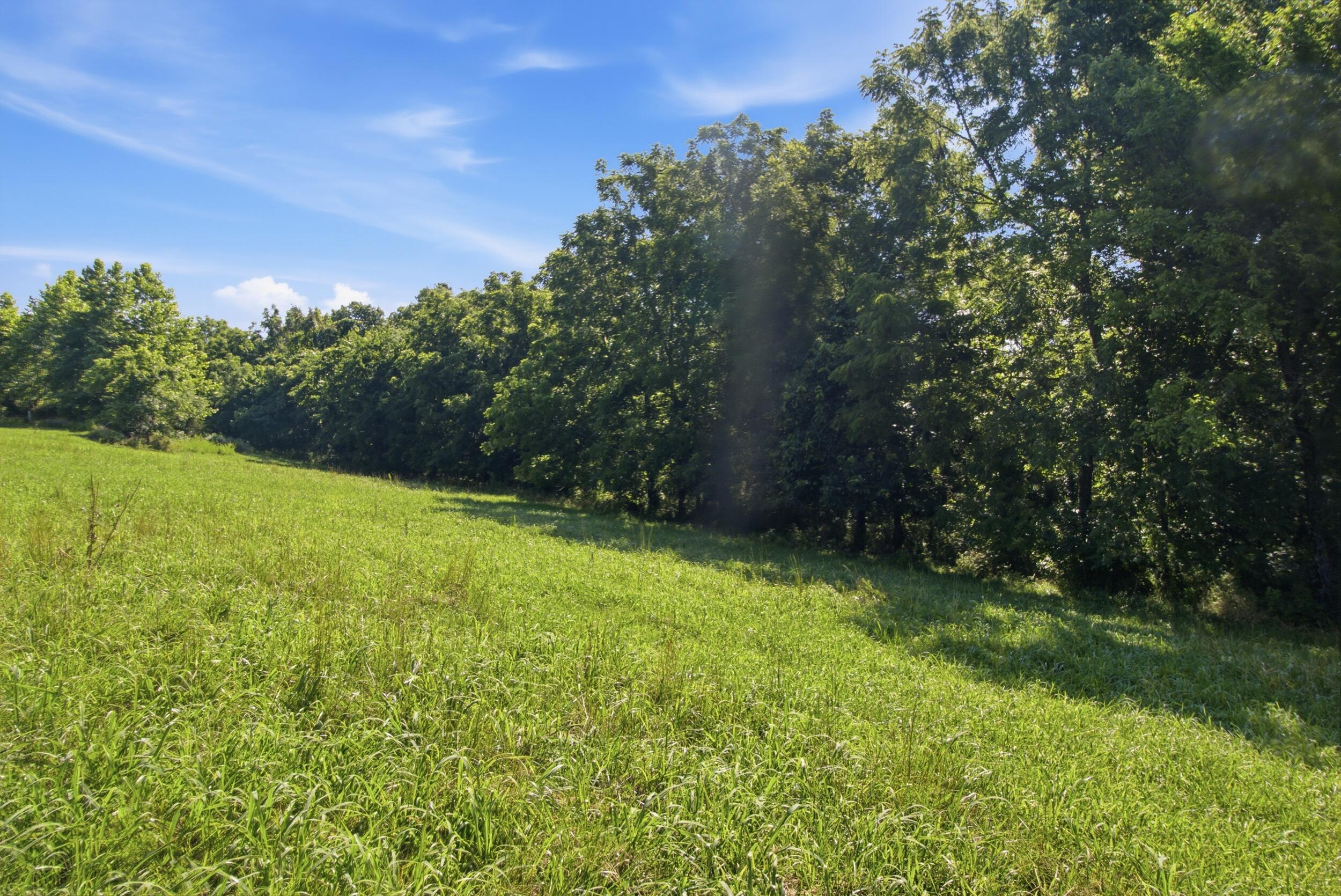 000 County Road 178-a Property Photo 15