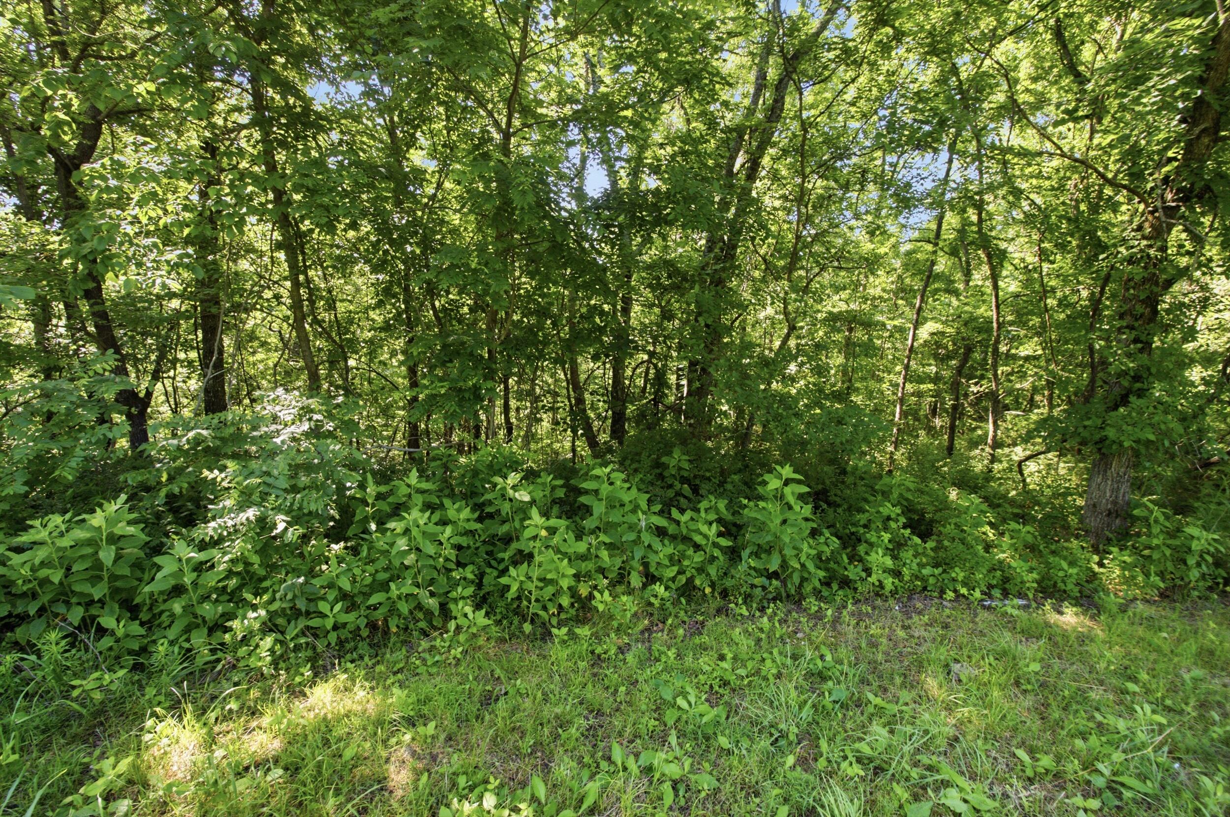 000 County Road 178-a Property Photo 16