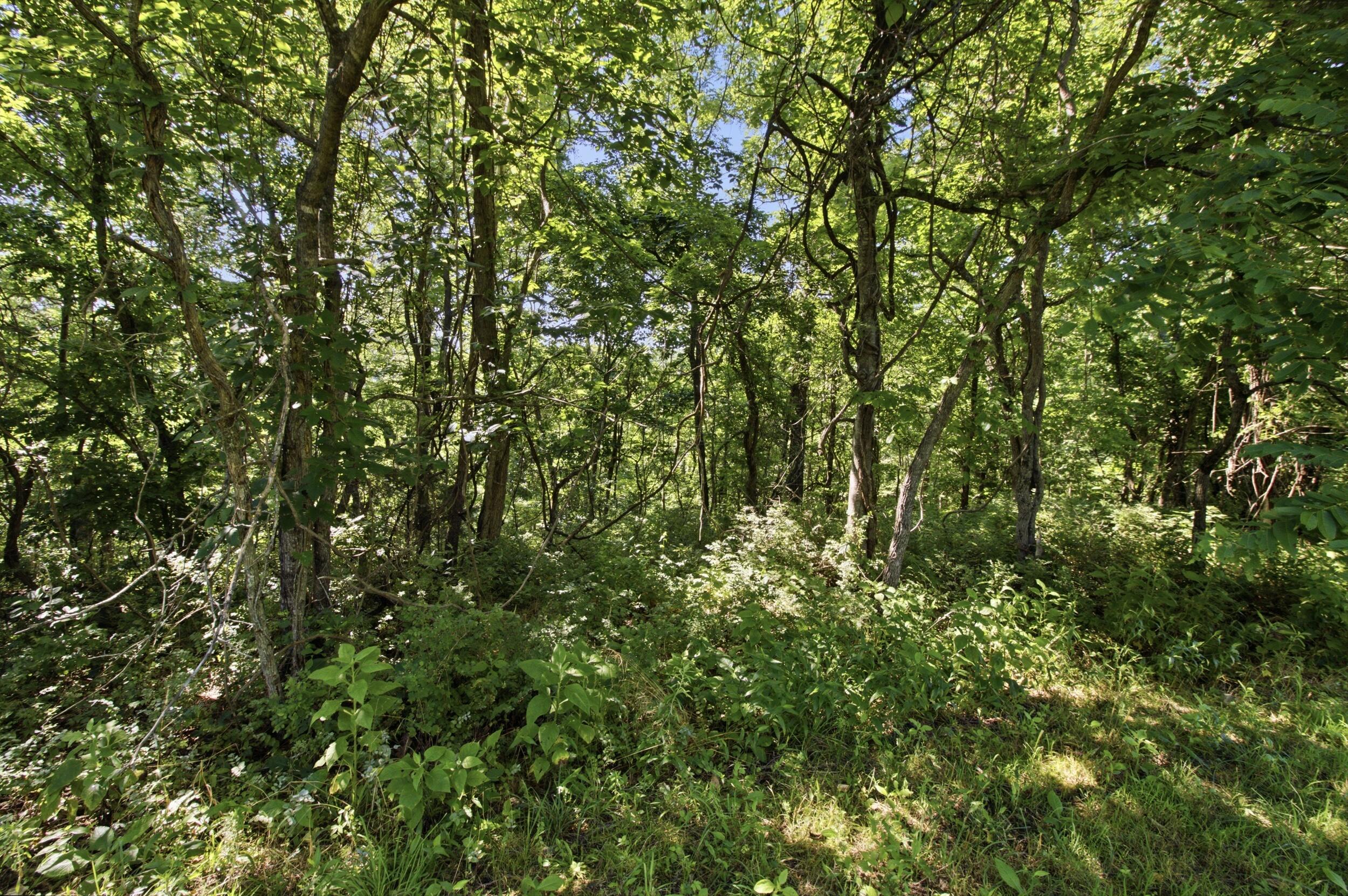 000 County Road 178-a Property Photo 17