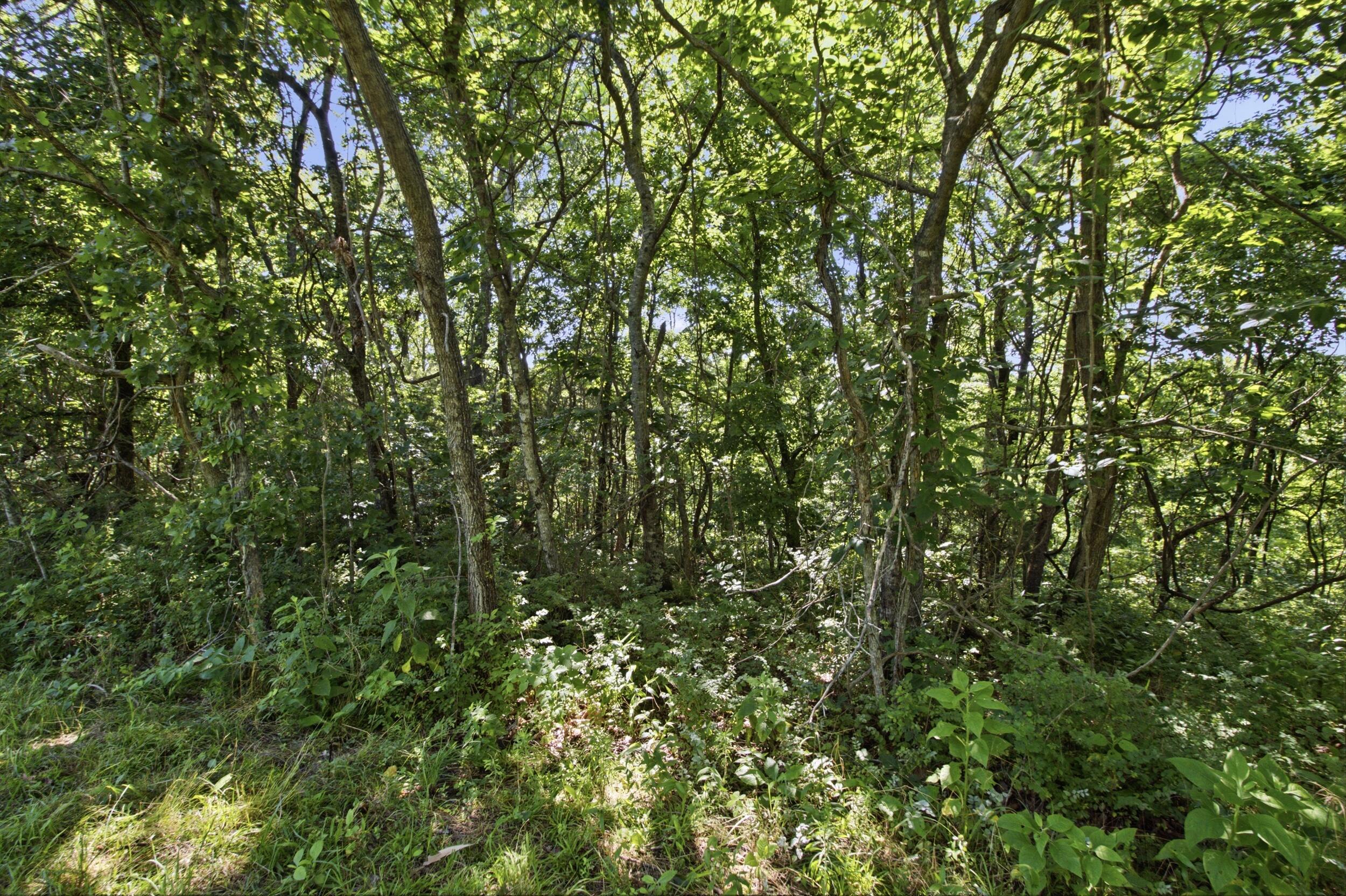 000 County Road 178-a Property Photo 18