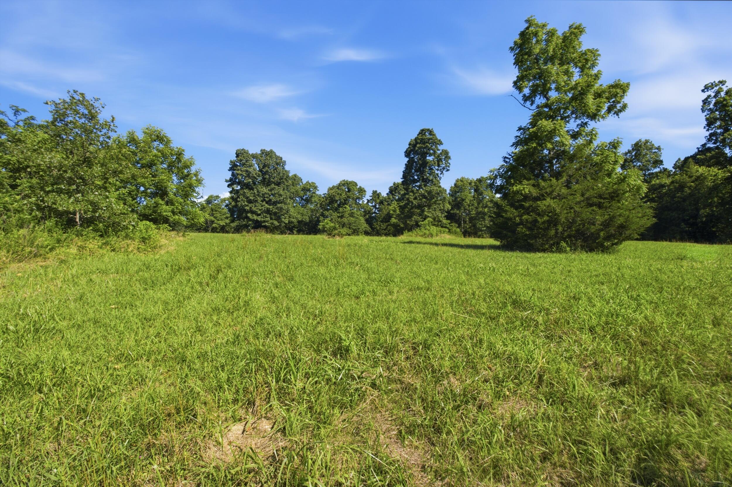 000 County Road 178-a Property Photo 19