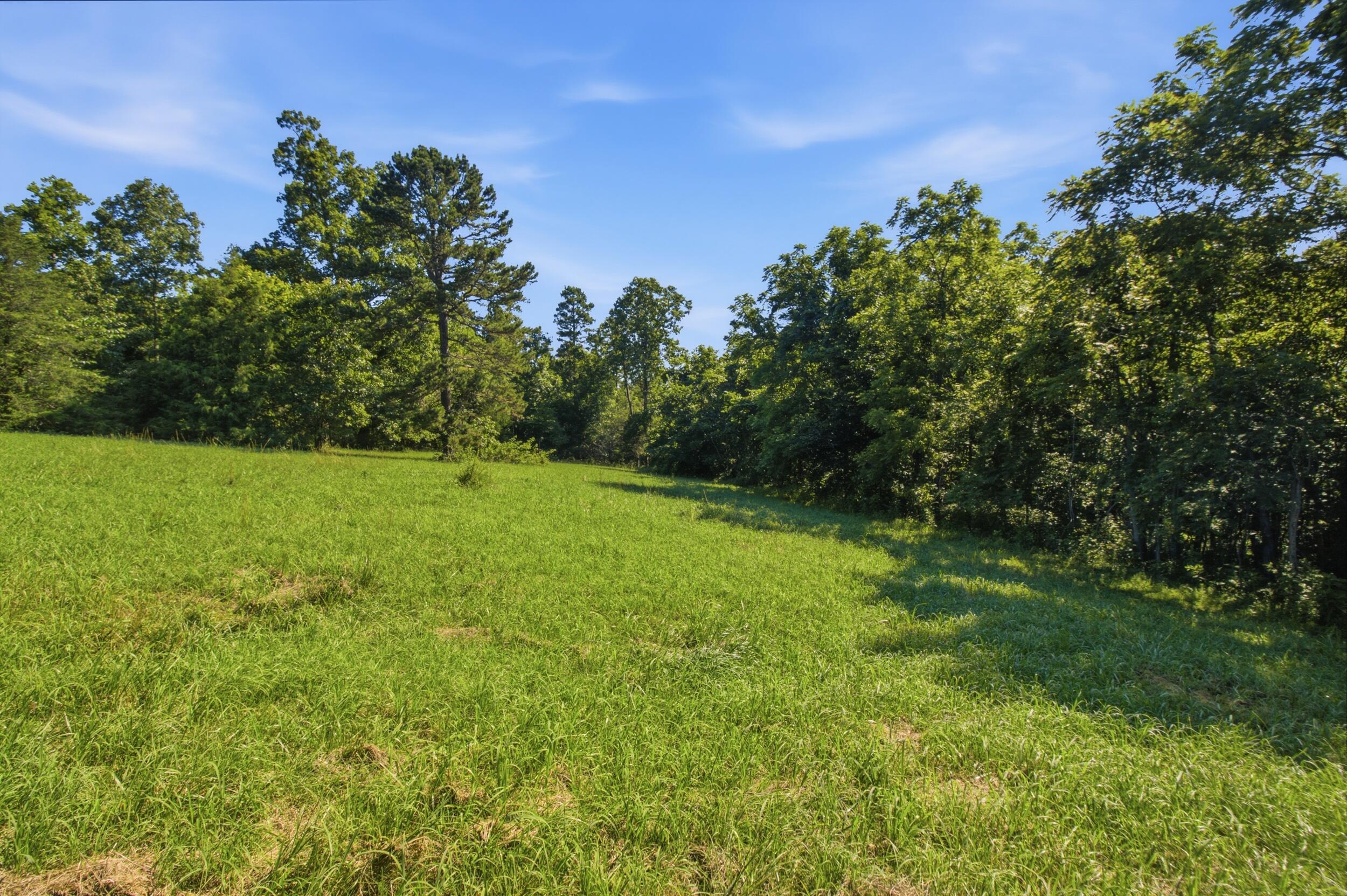 000 County Road 178-a Property Photo 20