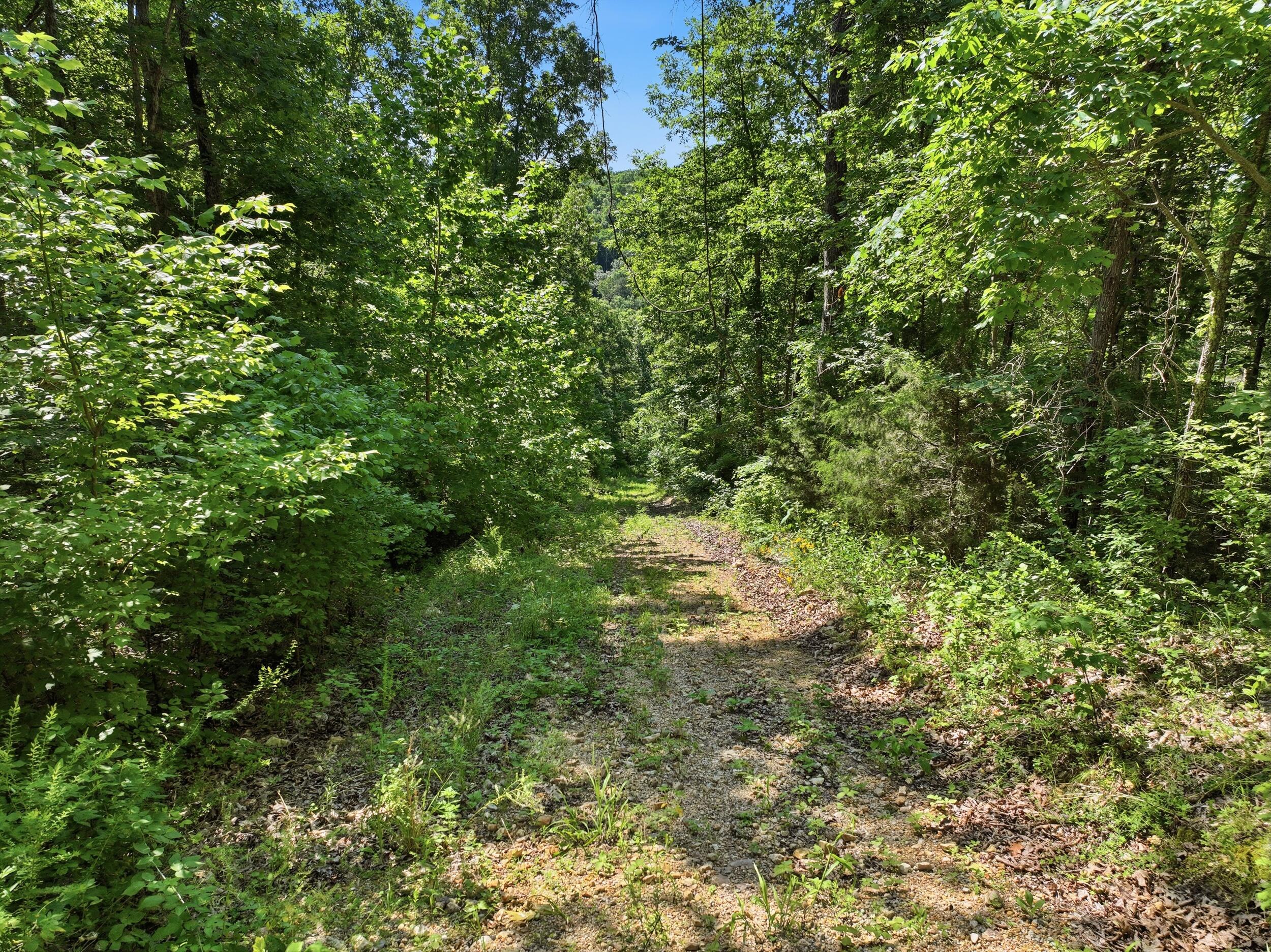 000 County Road 178-a Property Photo 22