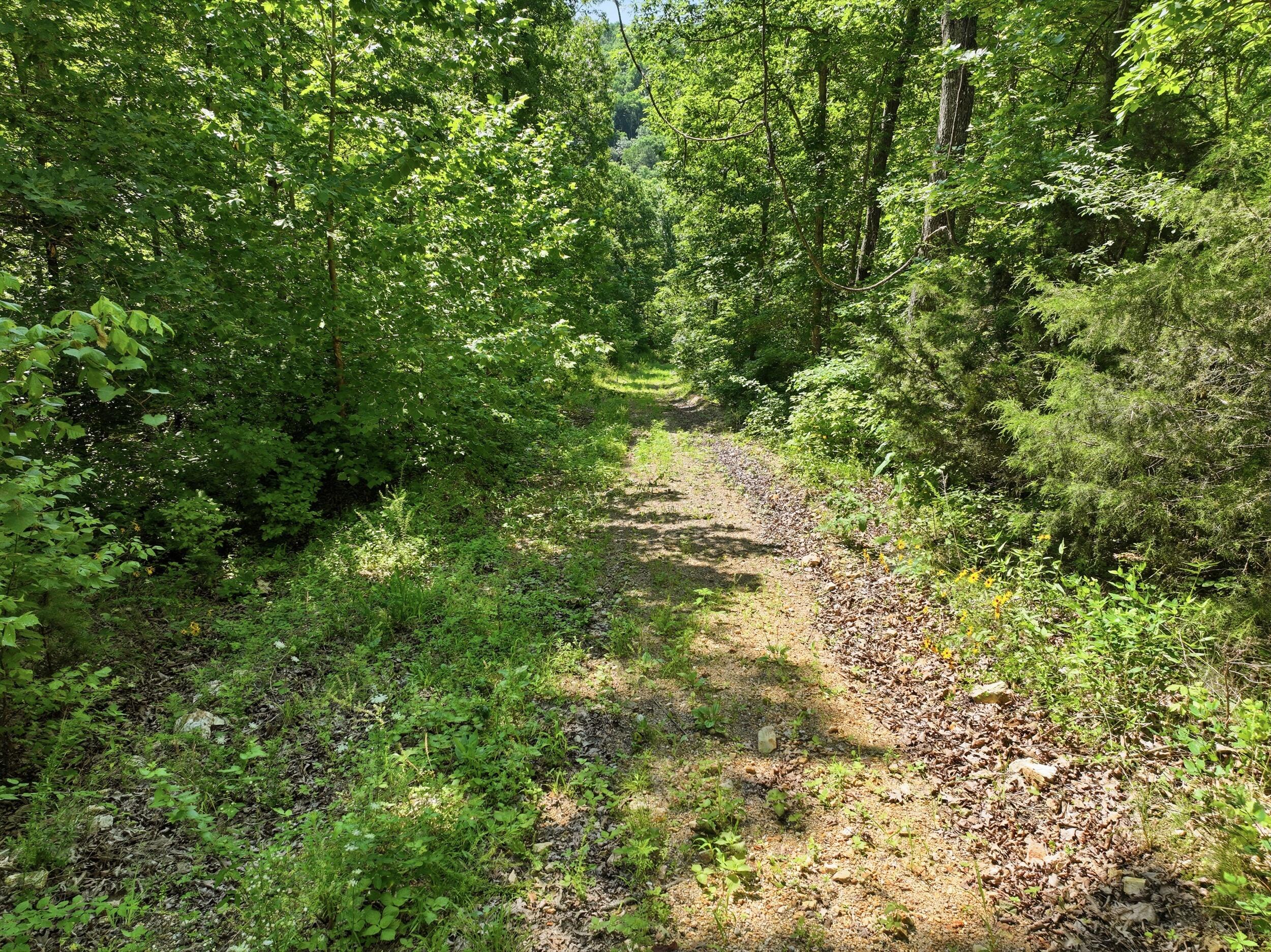 000 County Road 178-a Property Photo 23