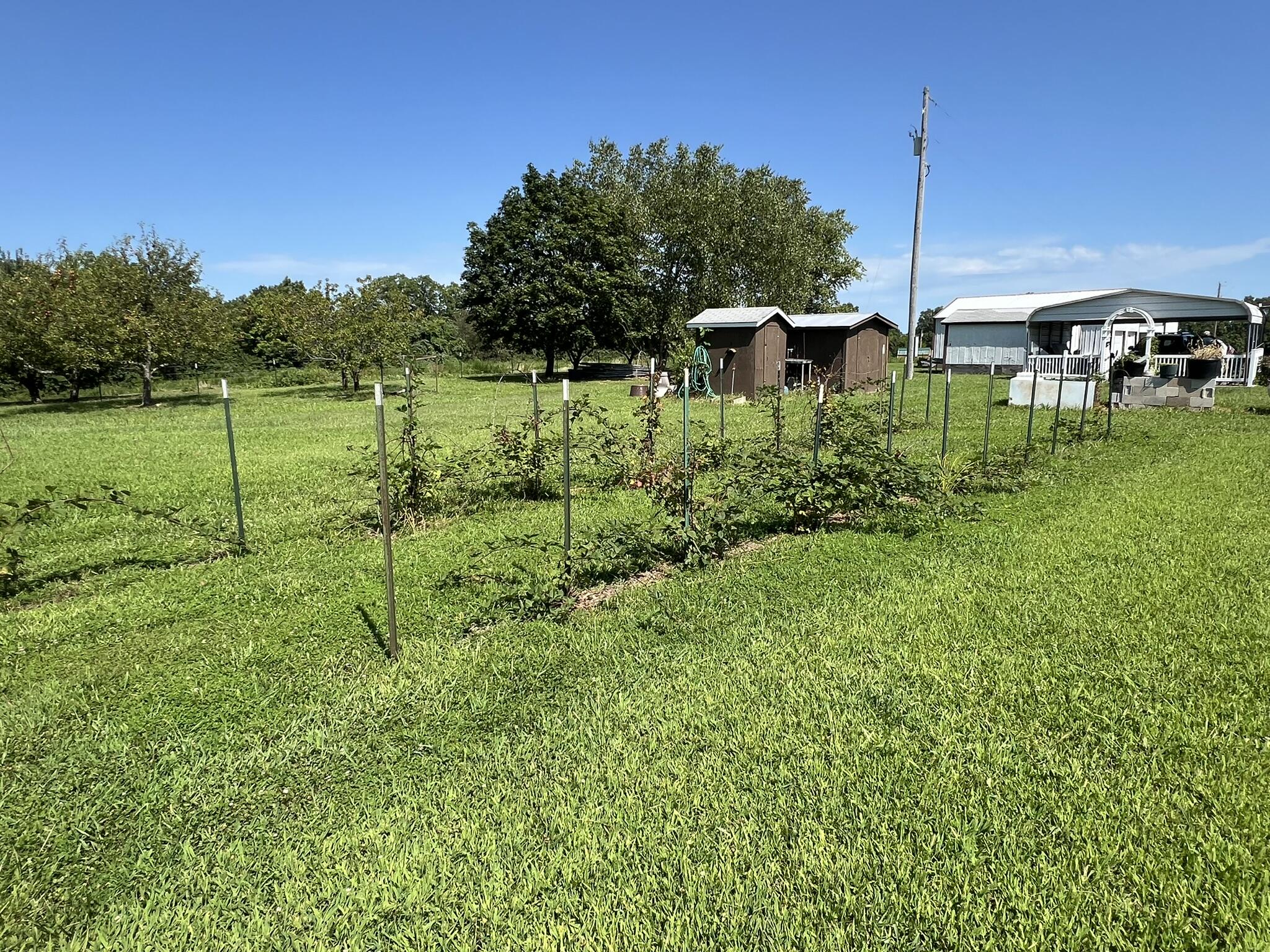 2717 Chestnut Drive Property Photo 32