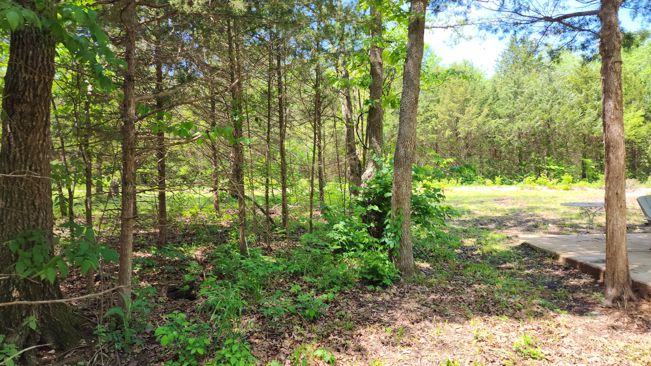 27831 Crd 333 Property Photo 11