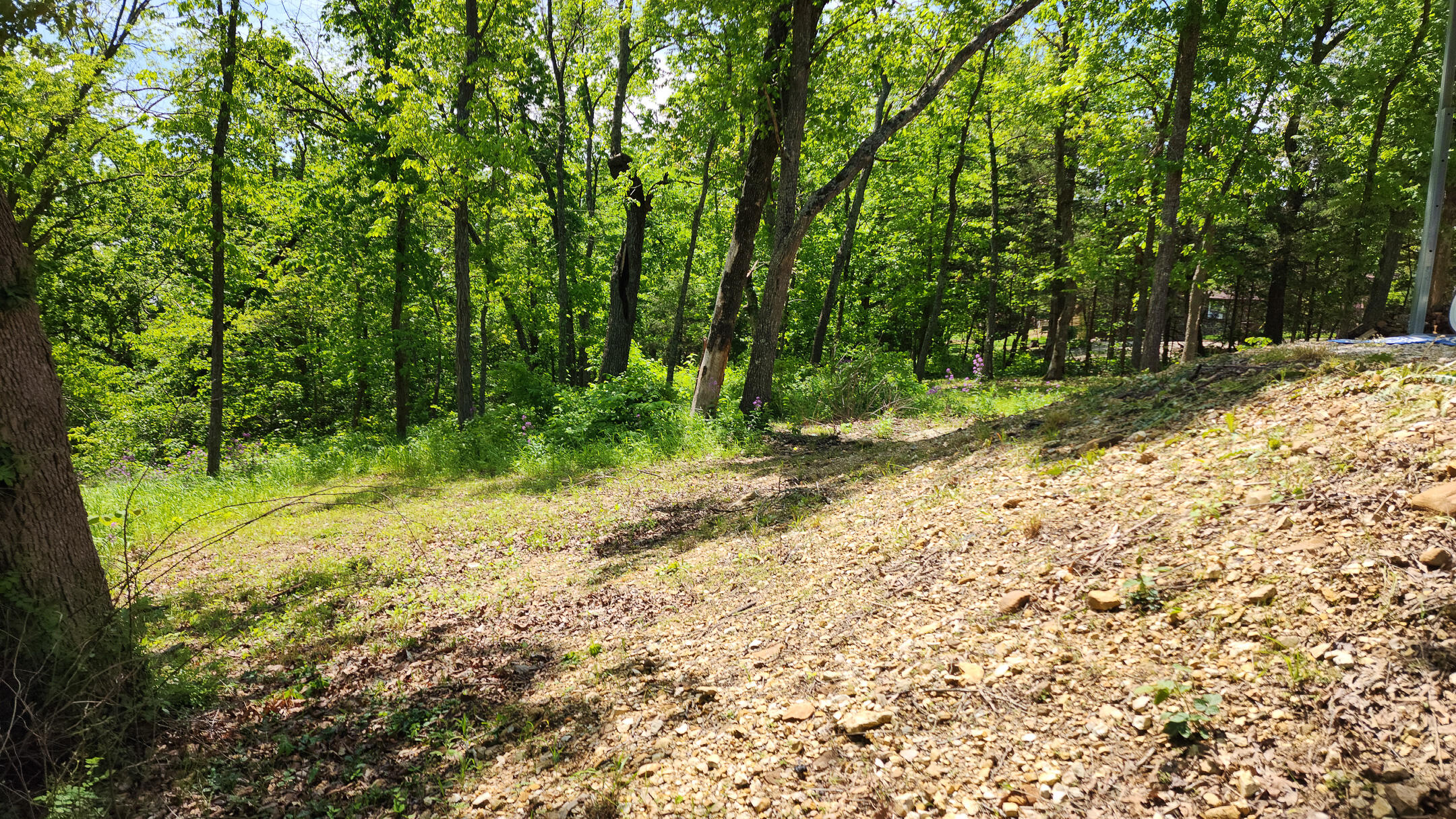 27831 Crd 333 Property Photo 13