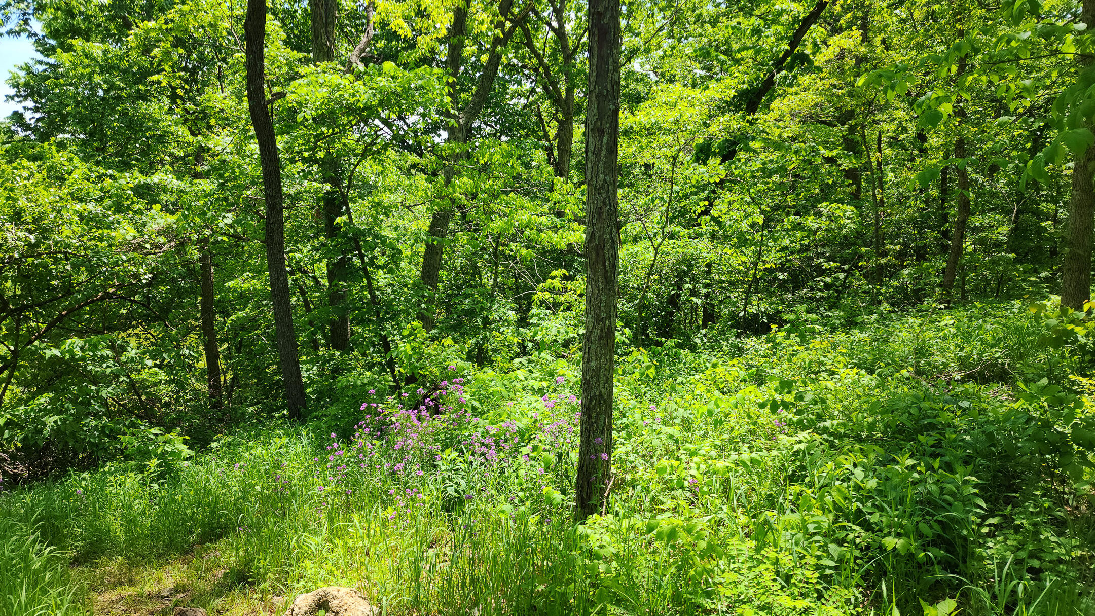 27831 Crd 333 Property Photo 15