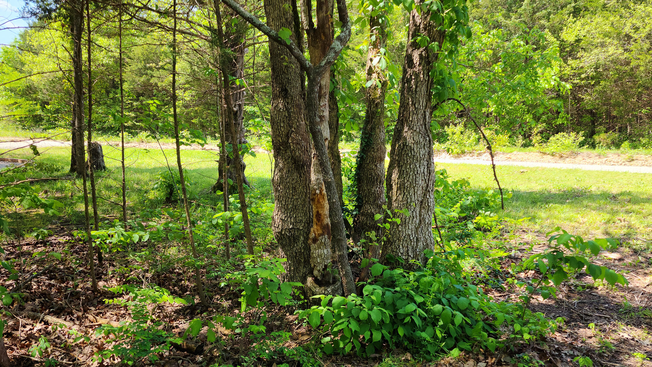 27831 Crd 333 Property Photo 16