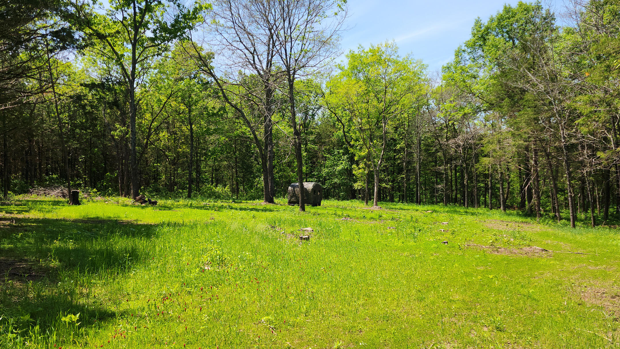 000 County Road 333 Property Photo 1