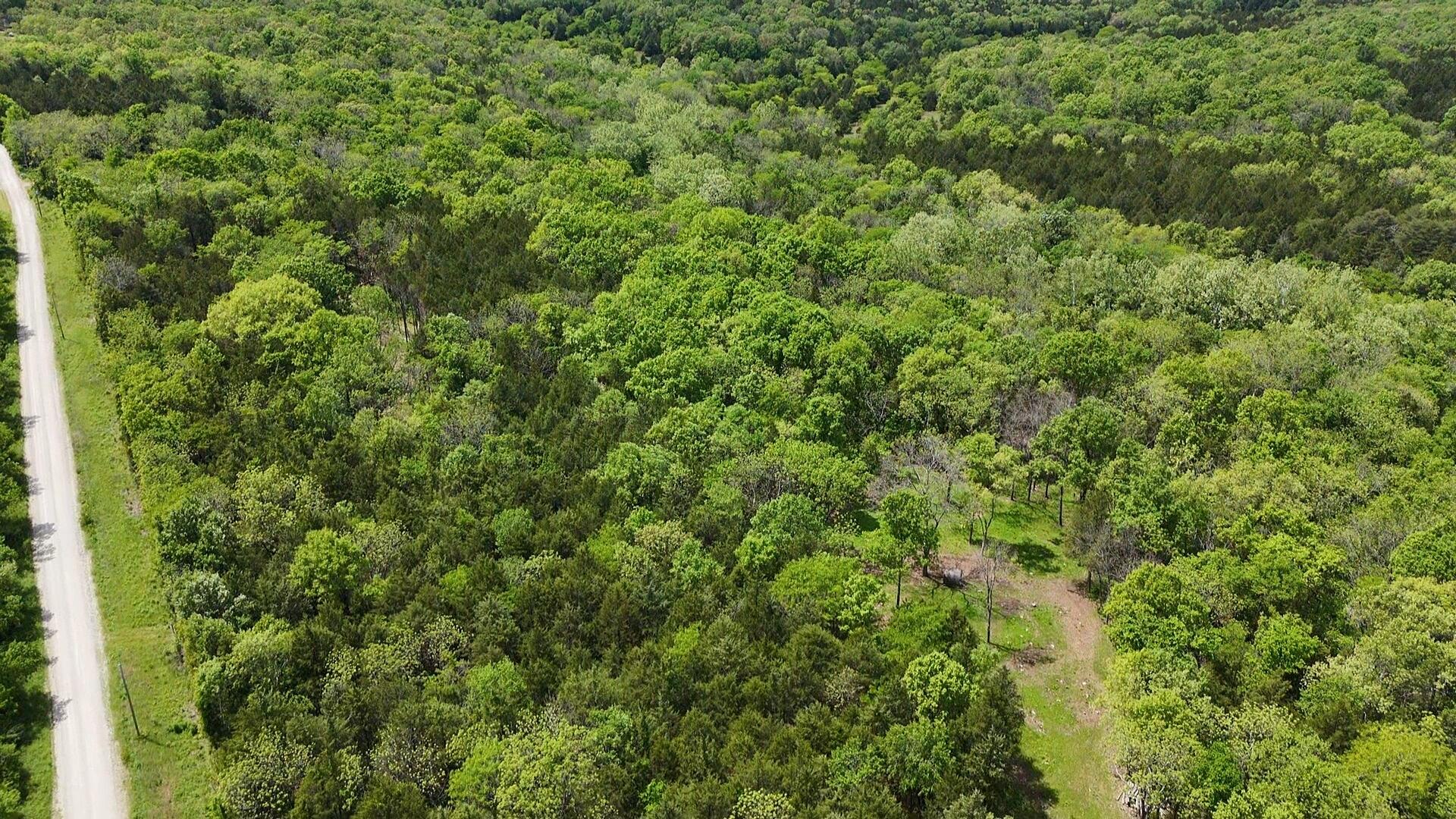 000 County Road 333 Property Photo 5
