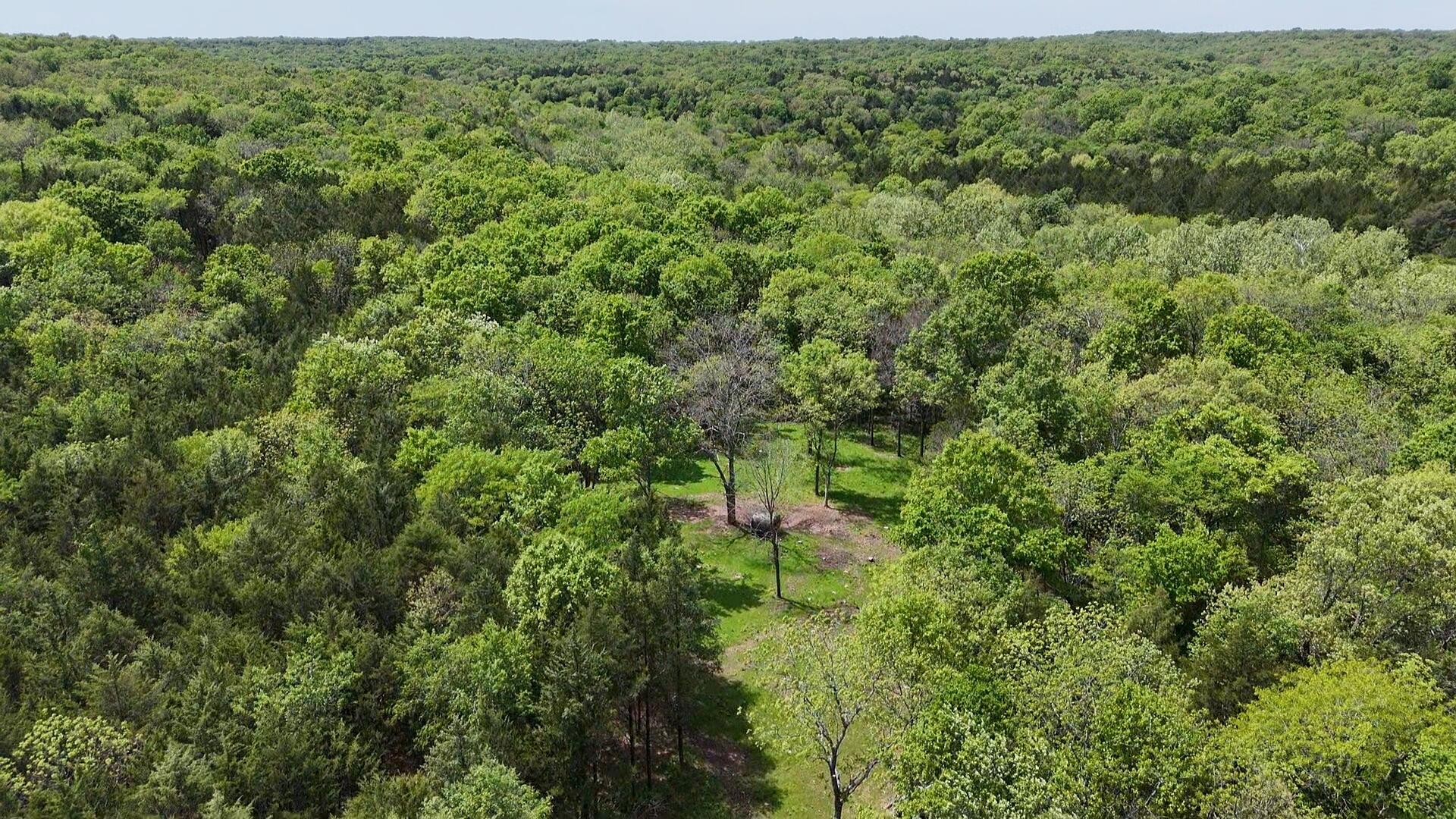 000 County Road 333 Property Photo 6
