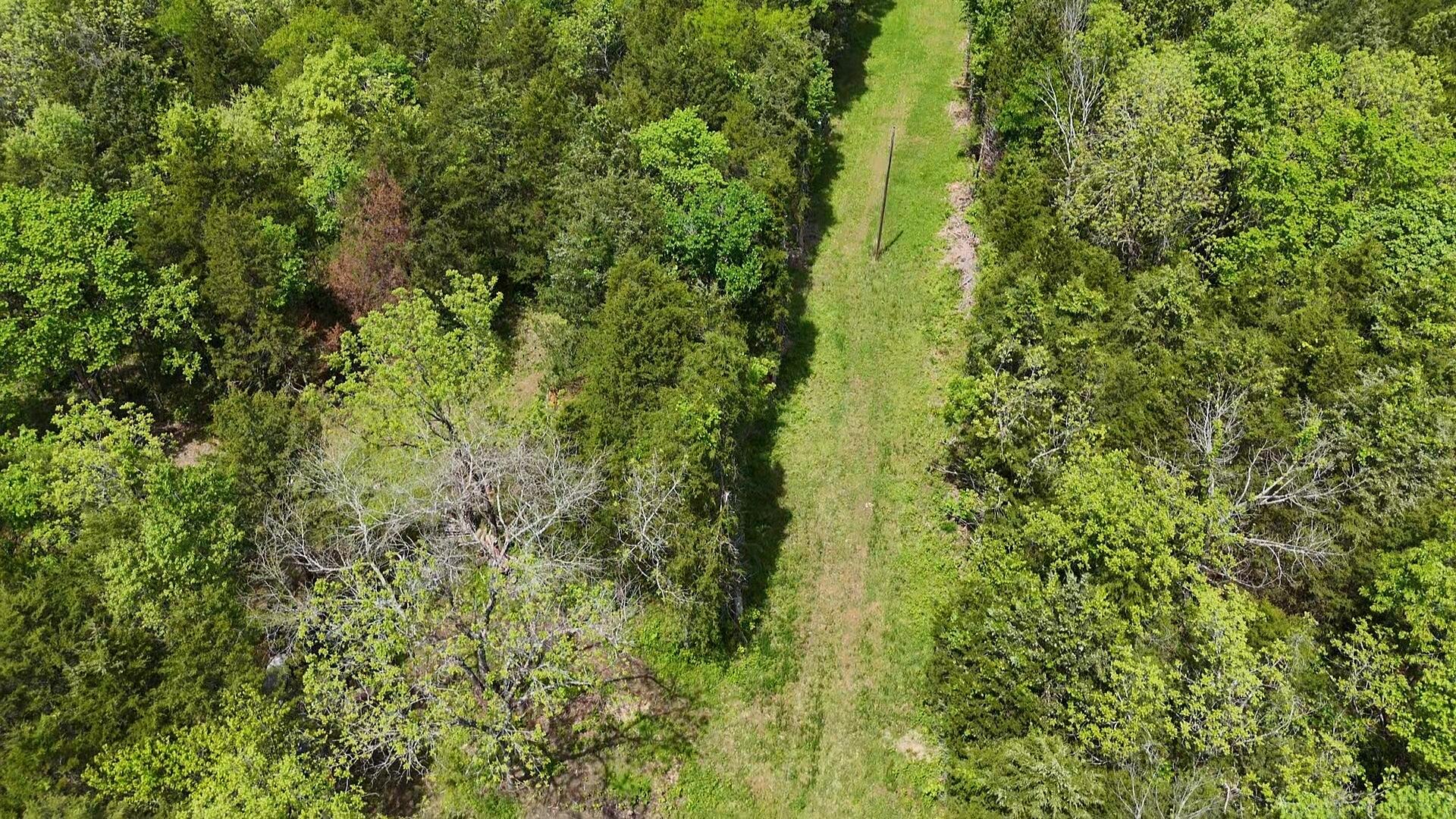 000 County Road 333 Property Photo 7