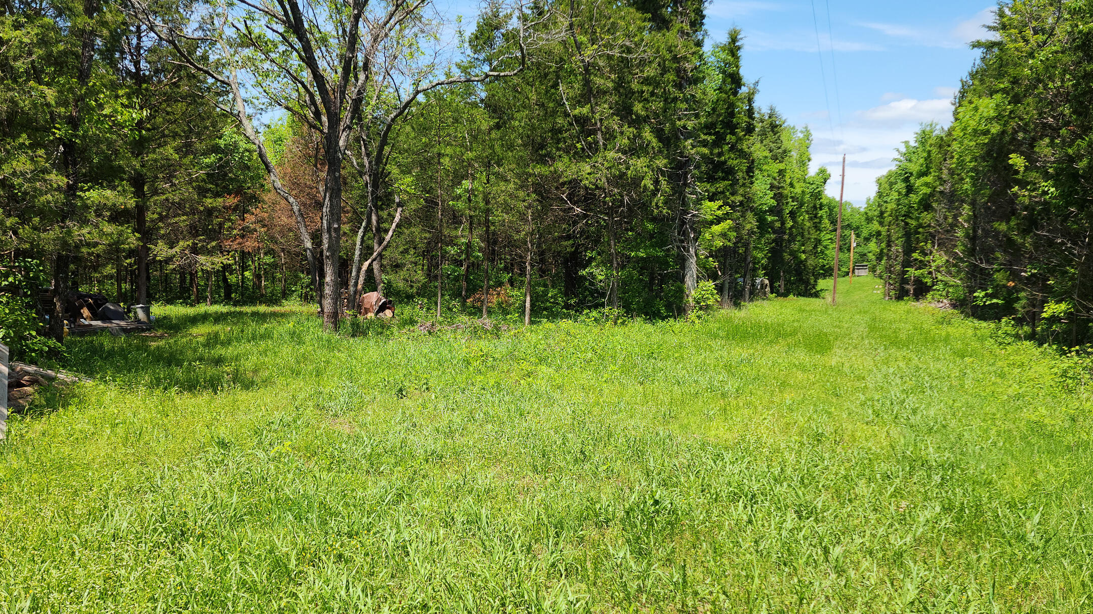 000 County Road 333 Property Photo 9