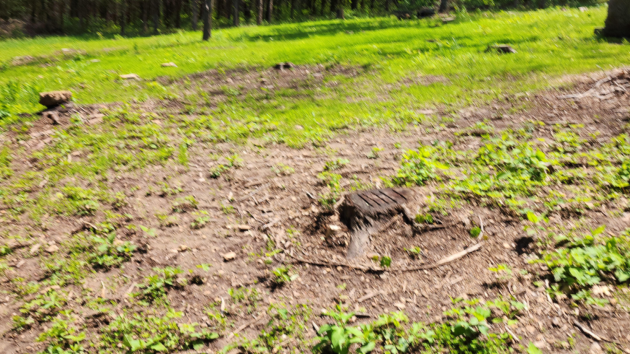 000 County Road 333 Property Photo 11