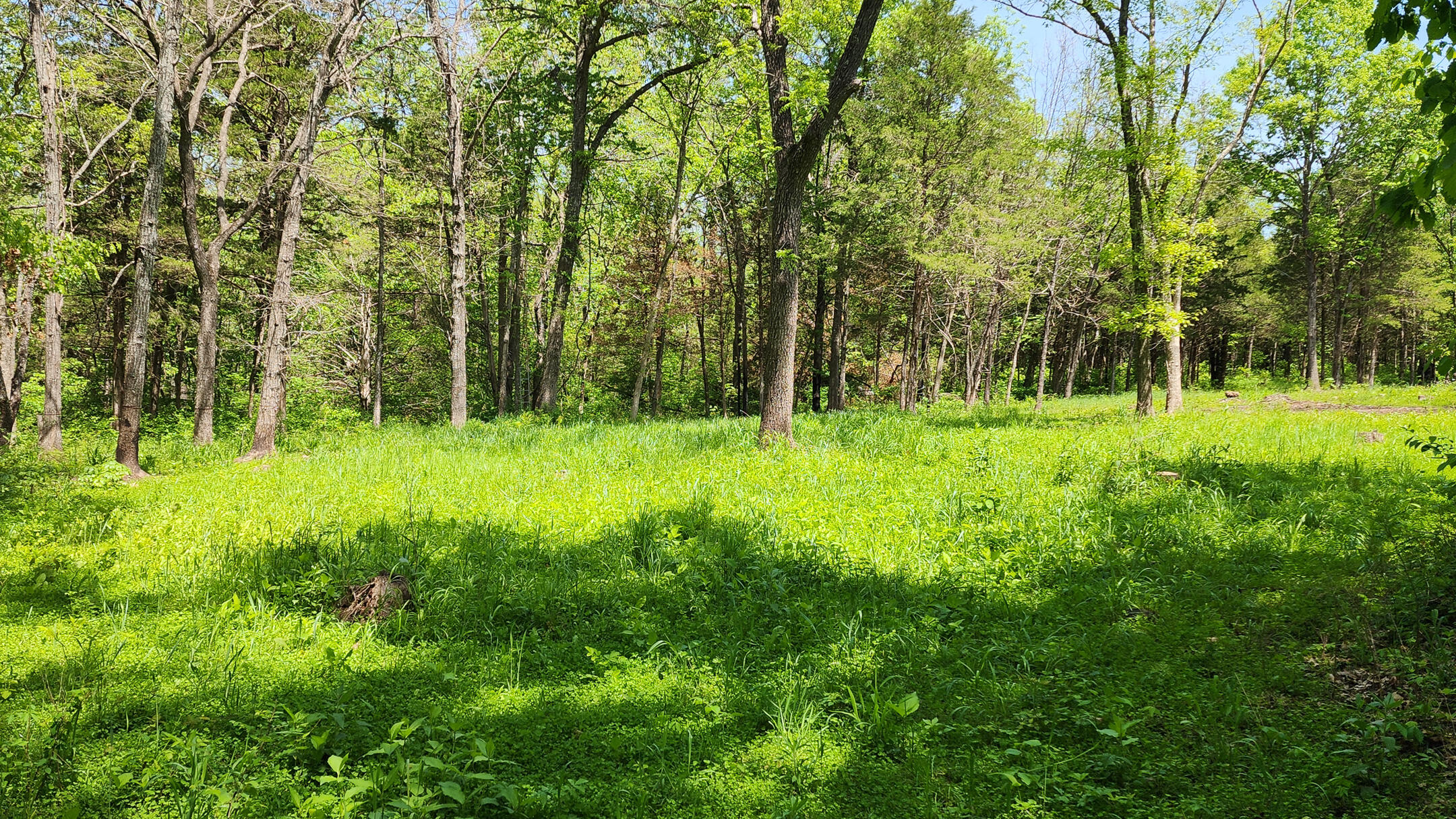 000 County Road 333 Property Photo 12
