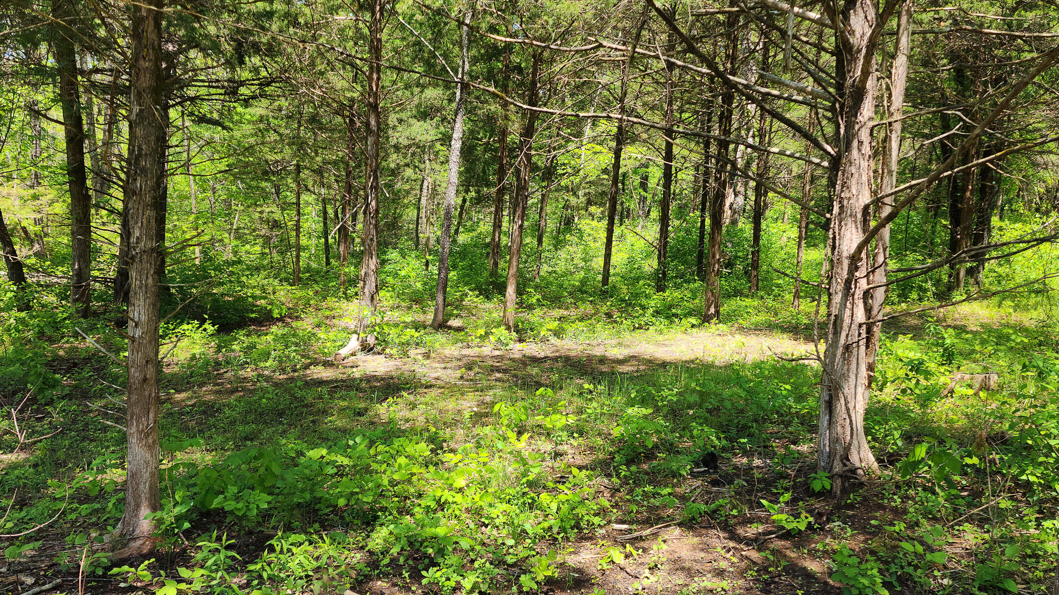 000 County Road 333 Property Photo 15