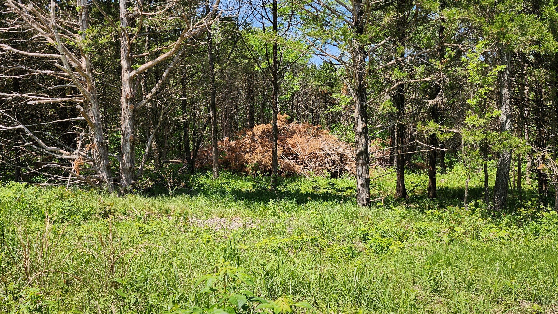 000 County Road 333 Property Photo 16