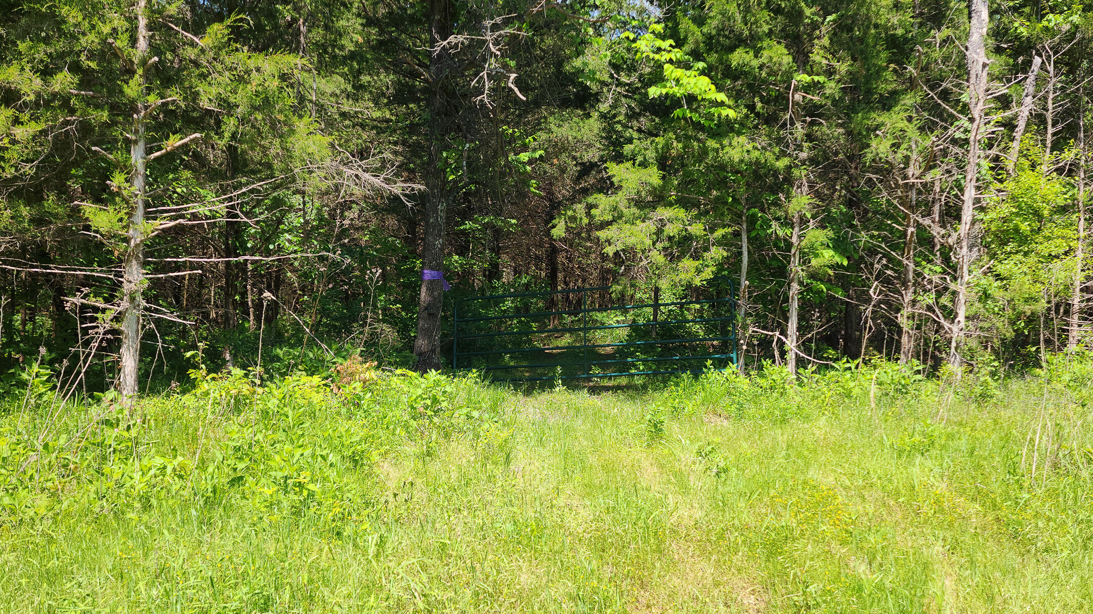 000 County Road 333 Property Photo 17
