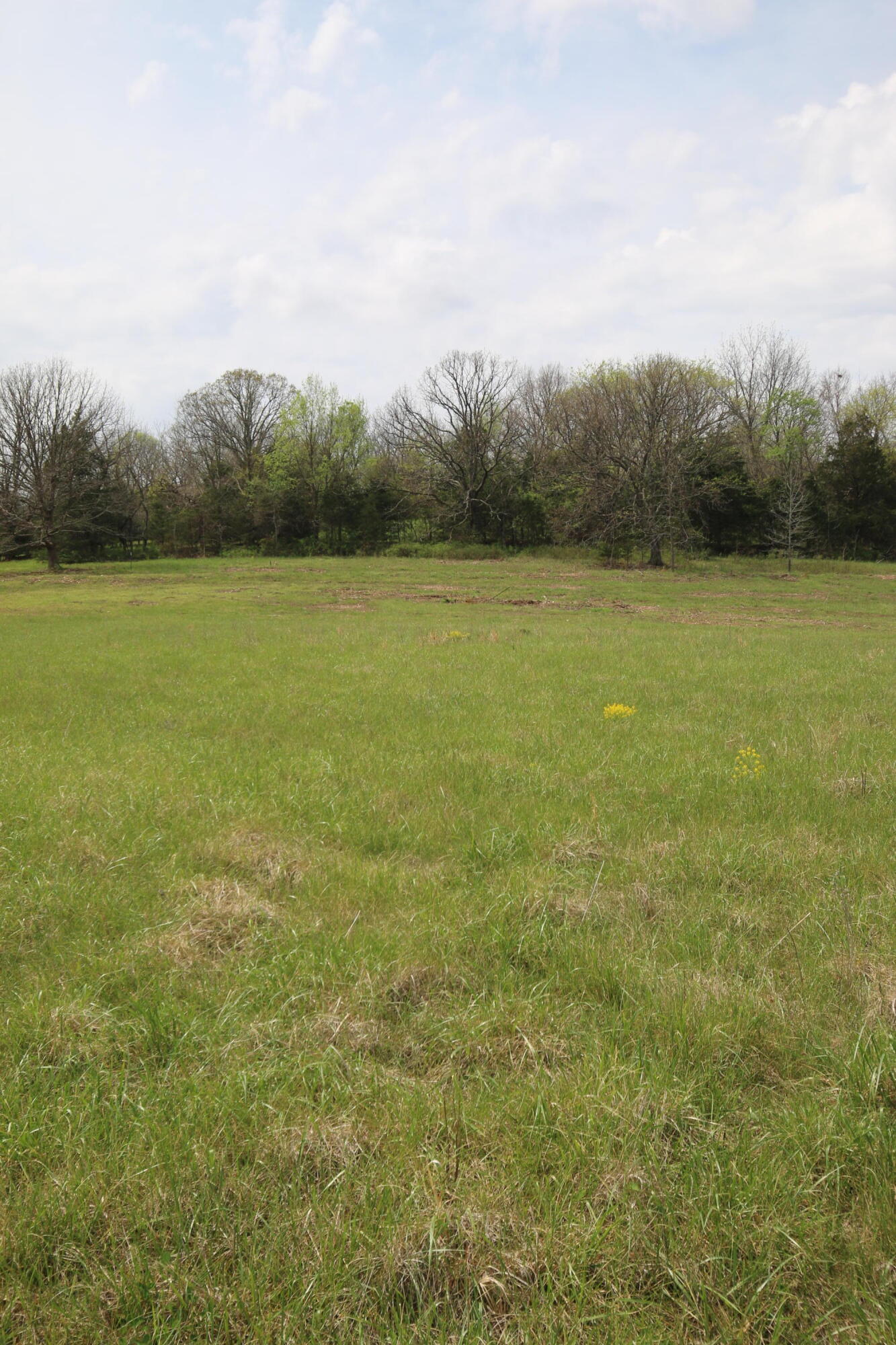 000 River Pass Drive Lot 6 Property Photo 6