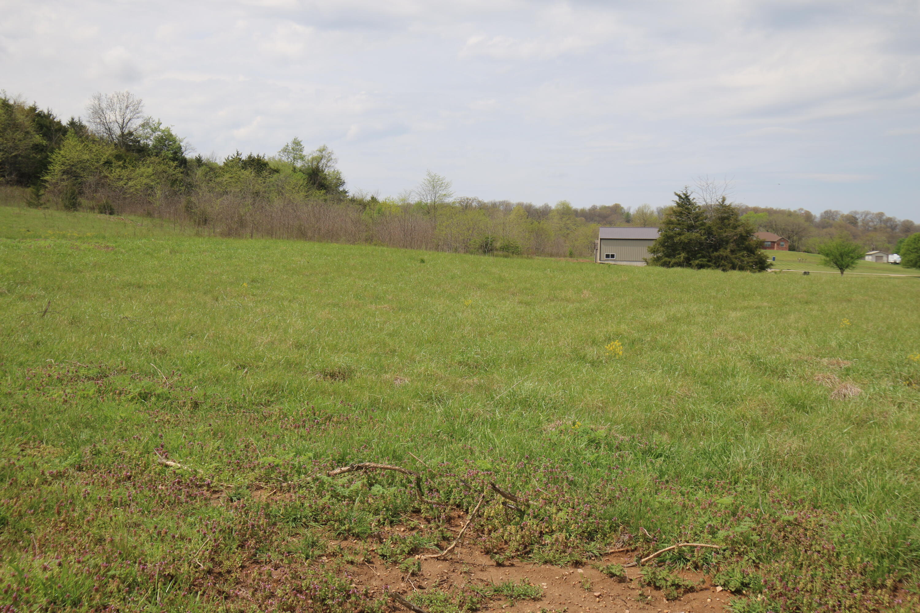 000 River Pass Drive Lot 6 Property Photo 8