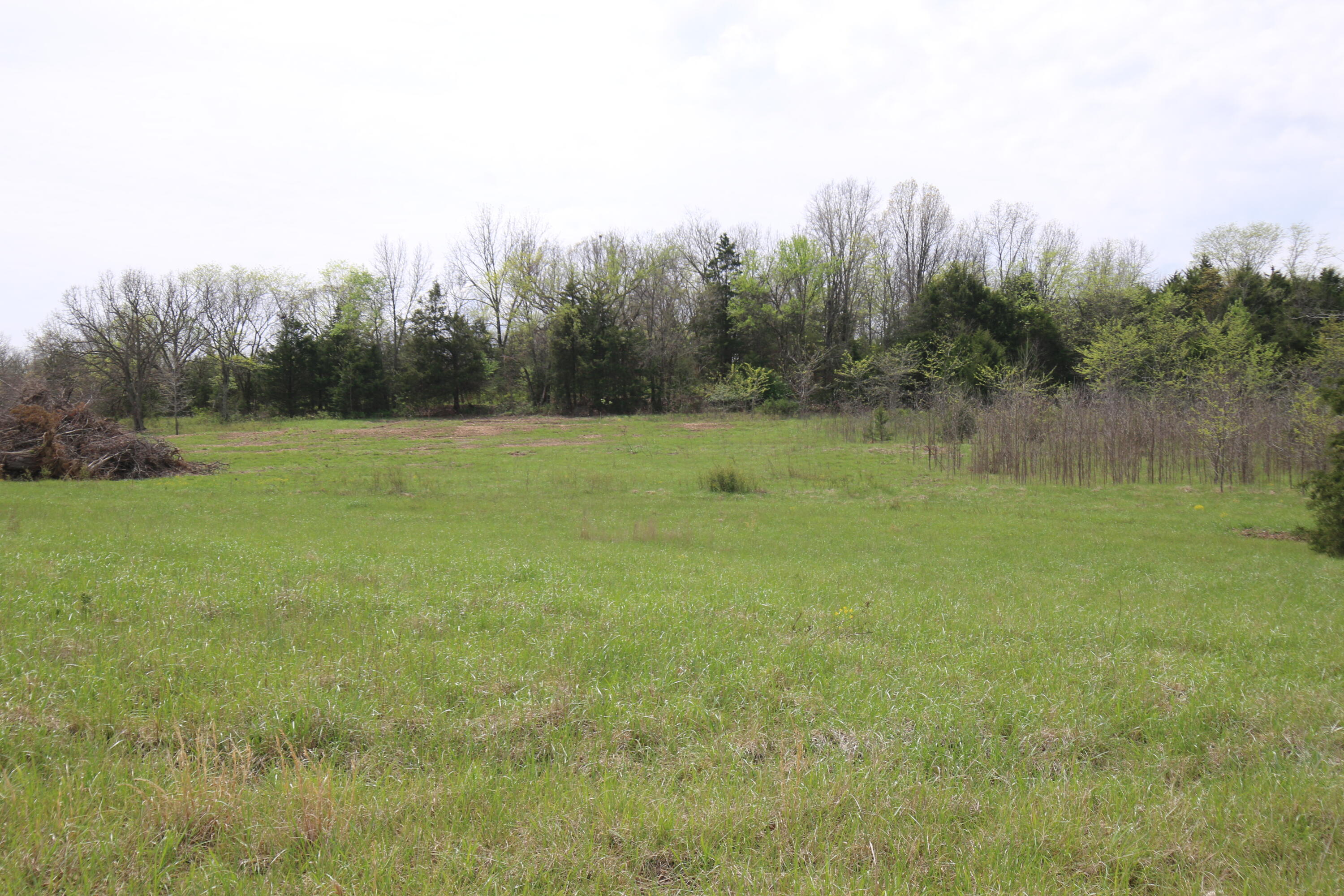 000 River Pass Drive Lot 6 Property Photo 10