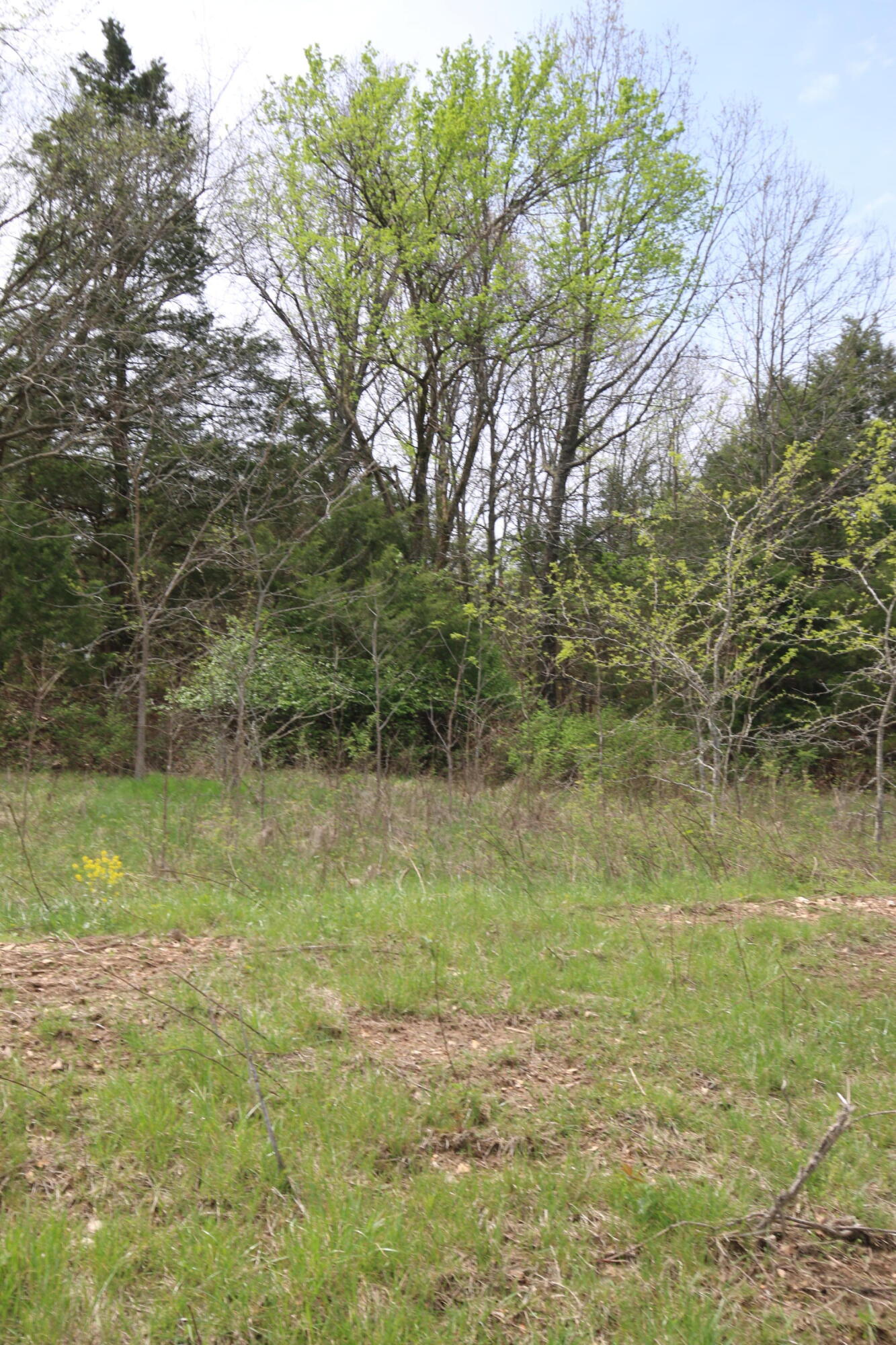 000 River Pass Drive Lot 11 Property Photo 4