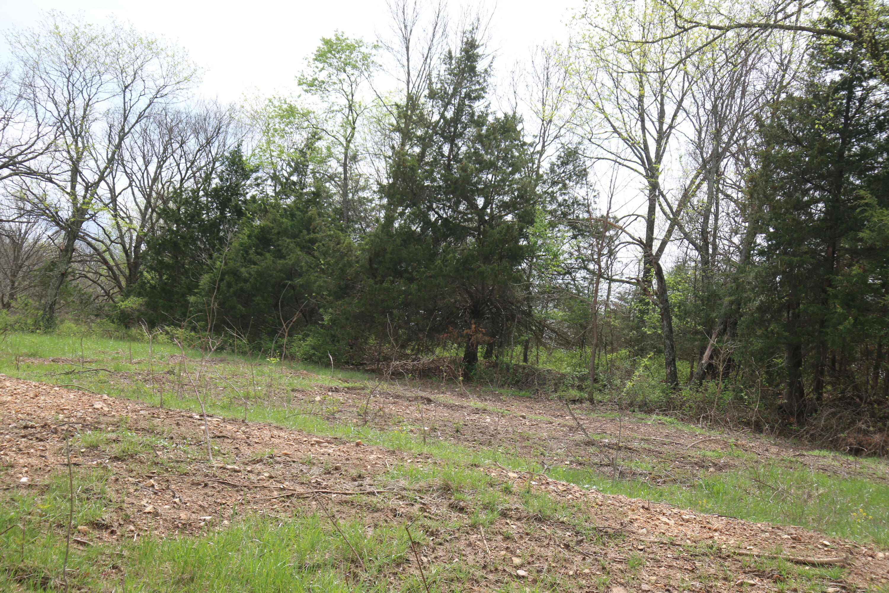 000 River Pass Drive Lot 11 Property Photo 5