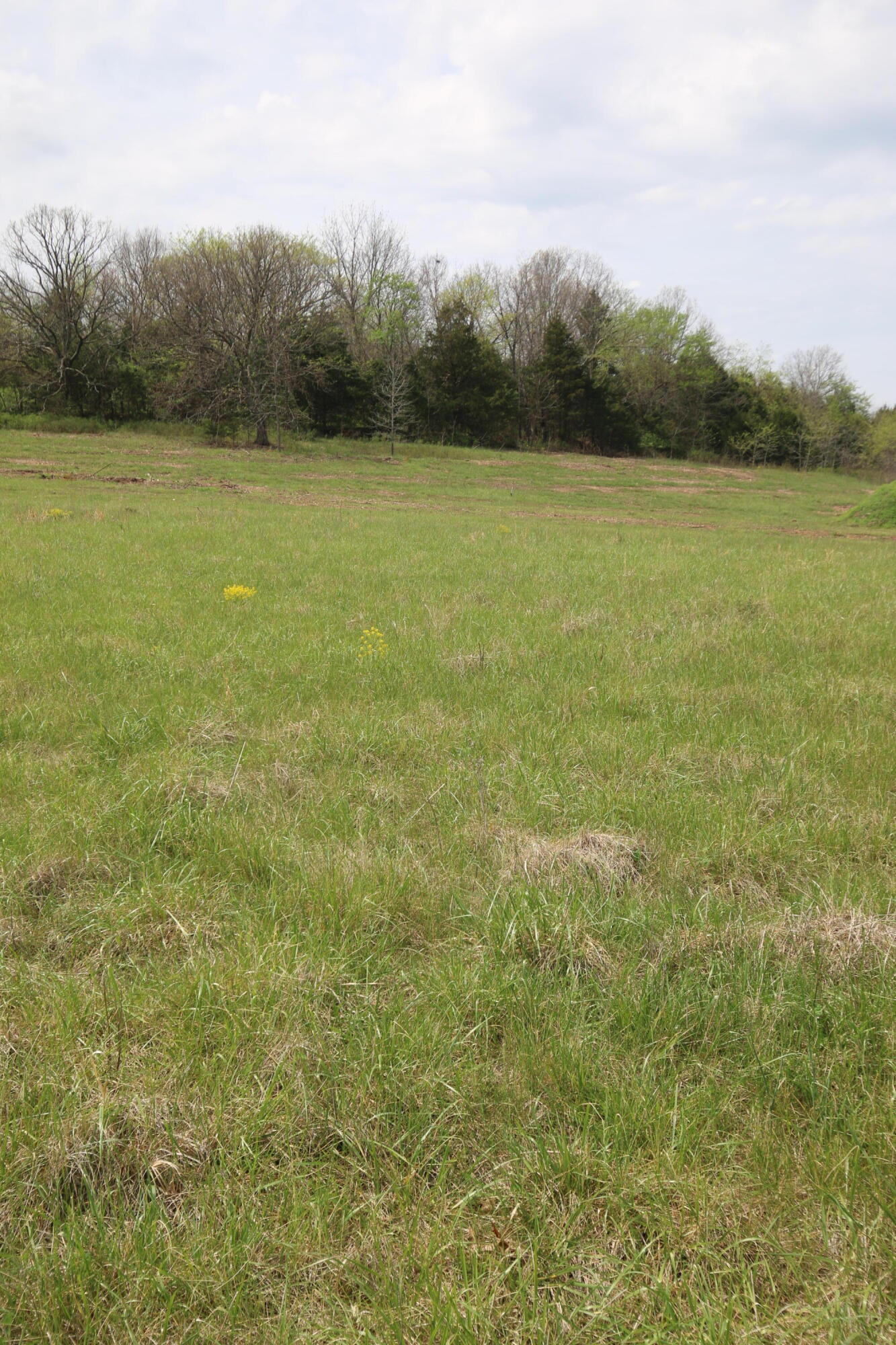 000 River Pass Drive Lot 11 Property Photo 6
