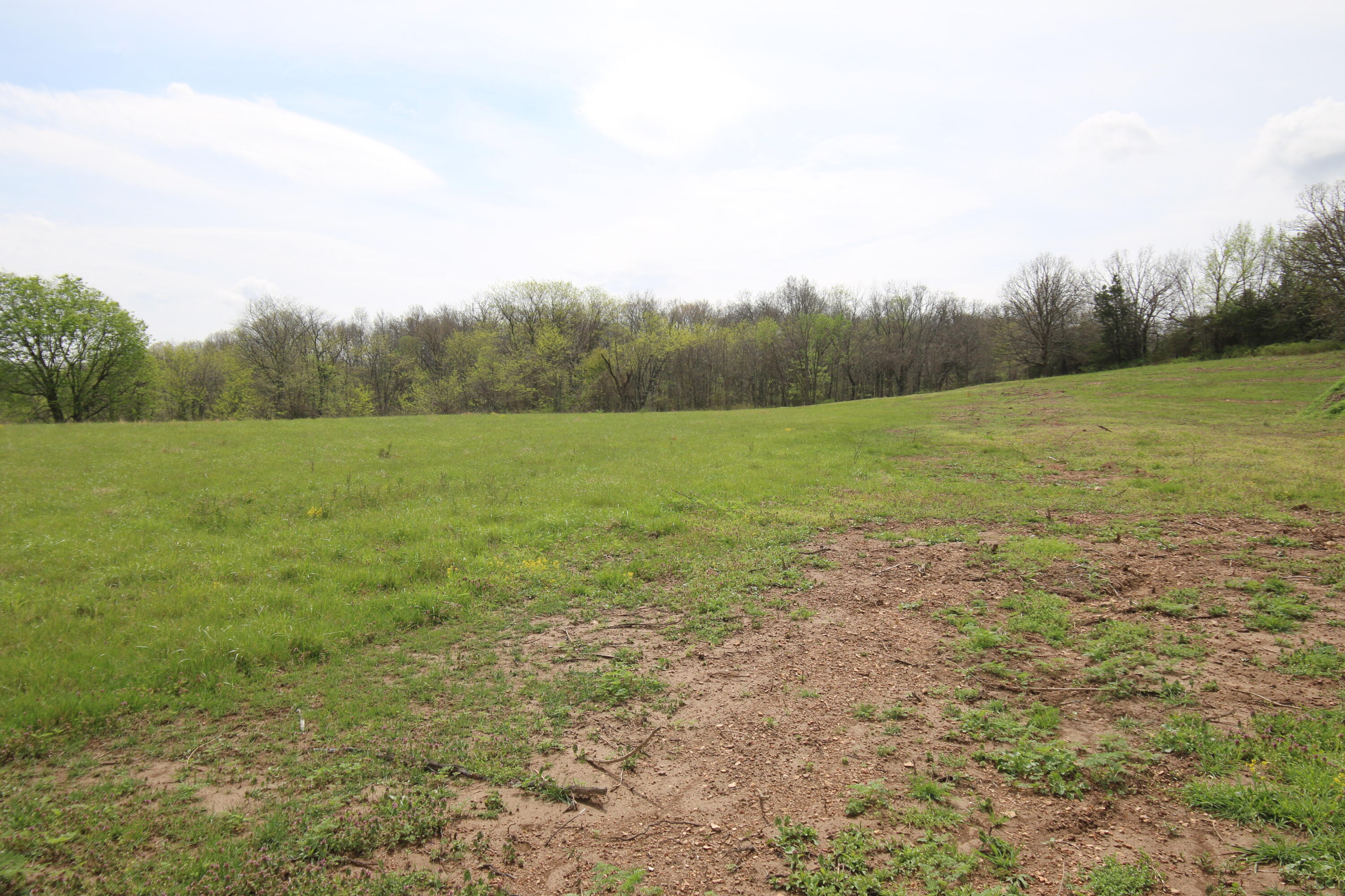 000 River Pass Drive Lot 11 Property Photo 8
