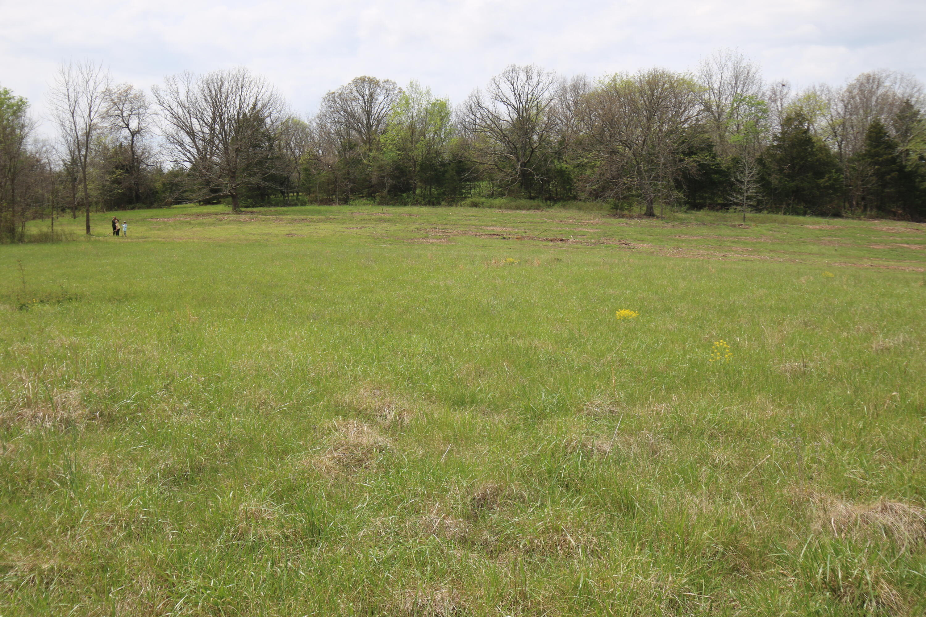 000 River Pass Drive Lot 11 Property Photo 9