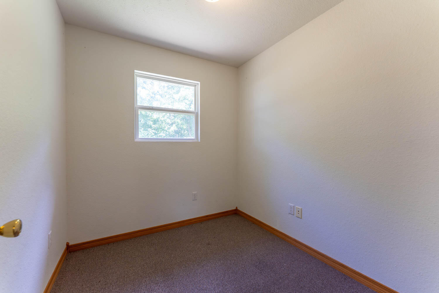 356 Highway 5 Property Photo 24